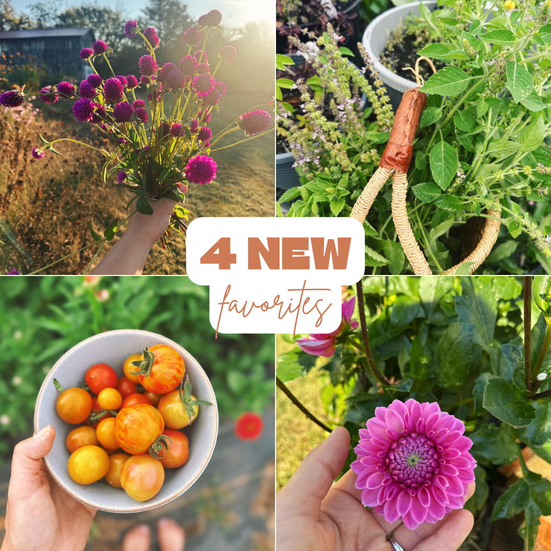 4 New Favorite Things I Grew in 2025