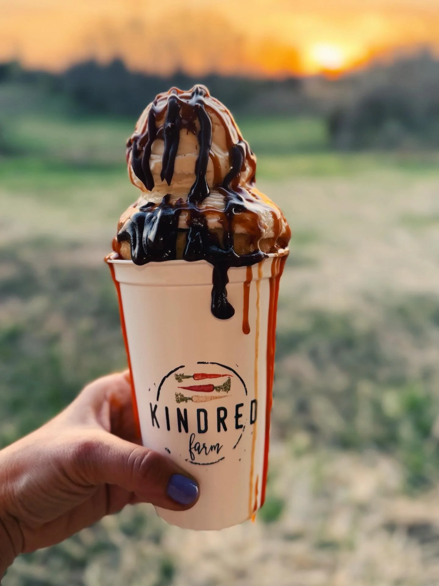 Just when you thought cinnamon rolls couldn&rsquo;t get any better&hellip;we created the Cinnamon Roll Sundae. 😍🍨 Kindred Farm Signature Cinnamon Roll with our vanilla bean gelato, fresh whipped cream, and a drizzle of caramel and fudge sauce. Yes,