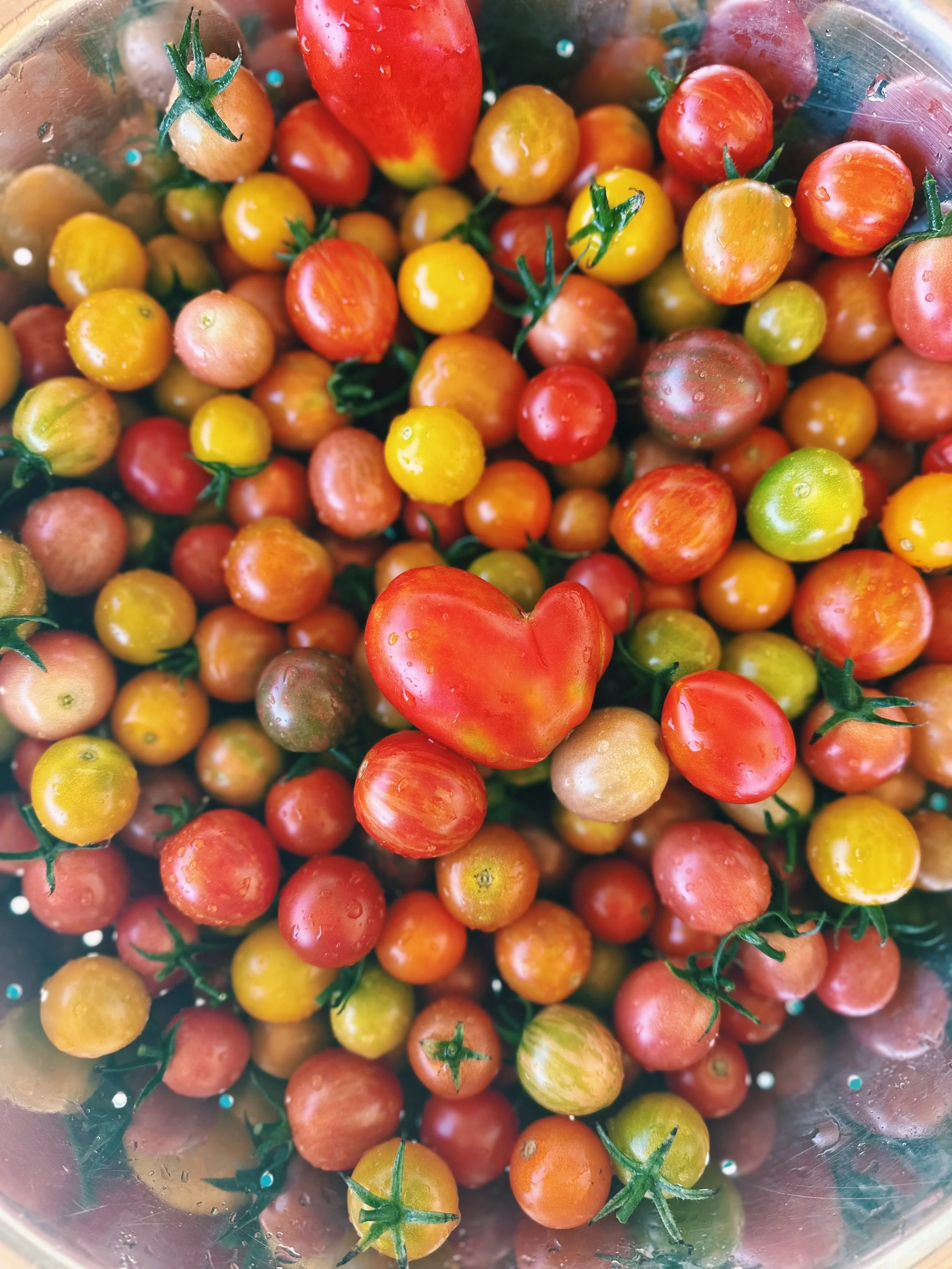 FullSizeRender_VSCO 206.JPG