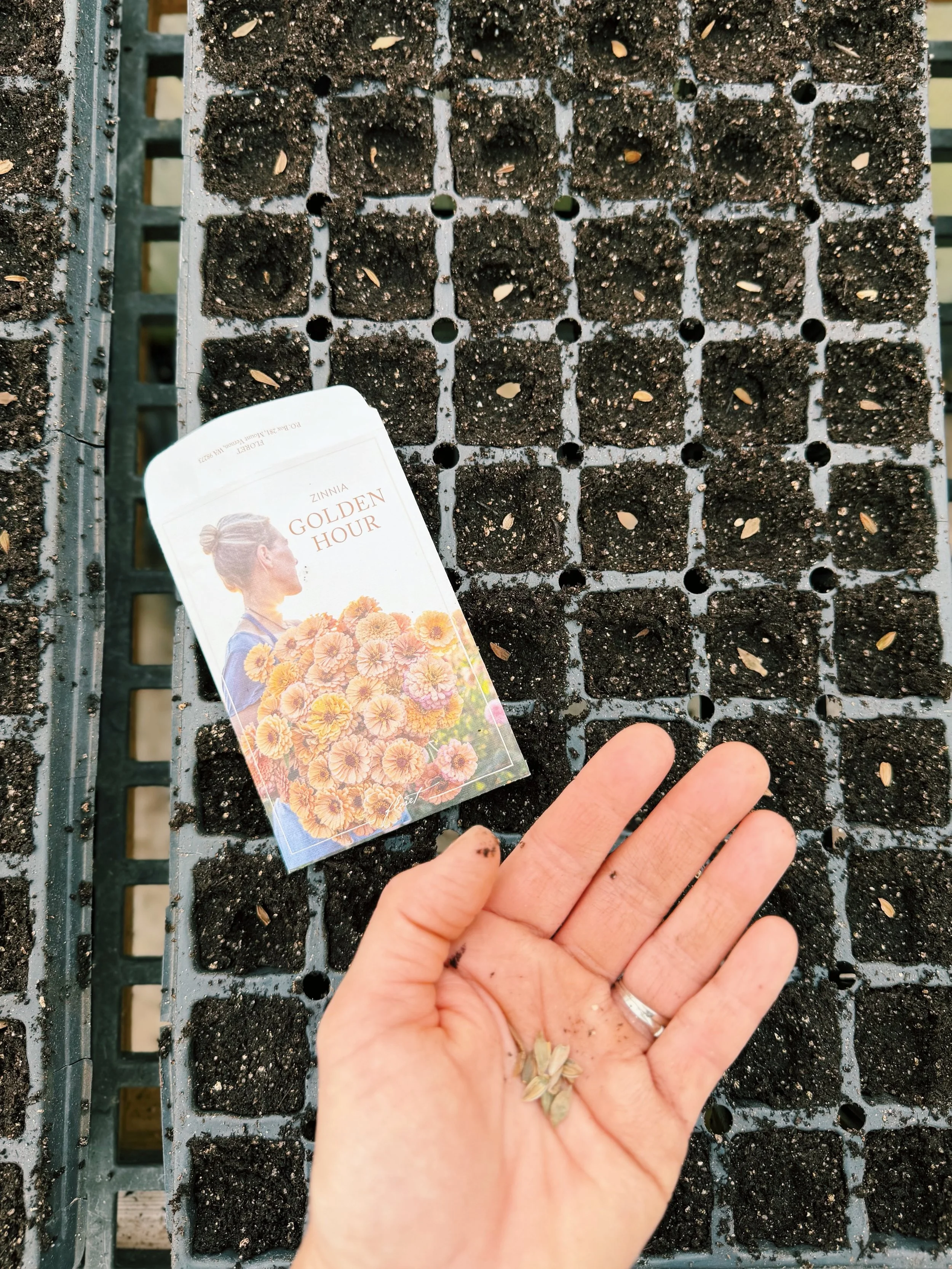 FullSizeRender_VSCO 207.JPG