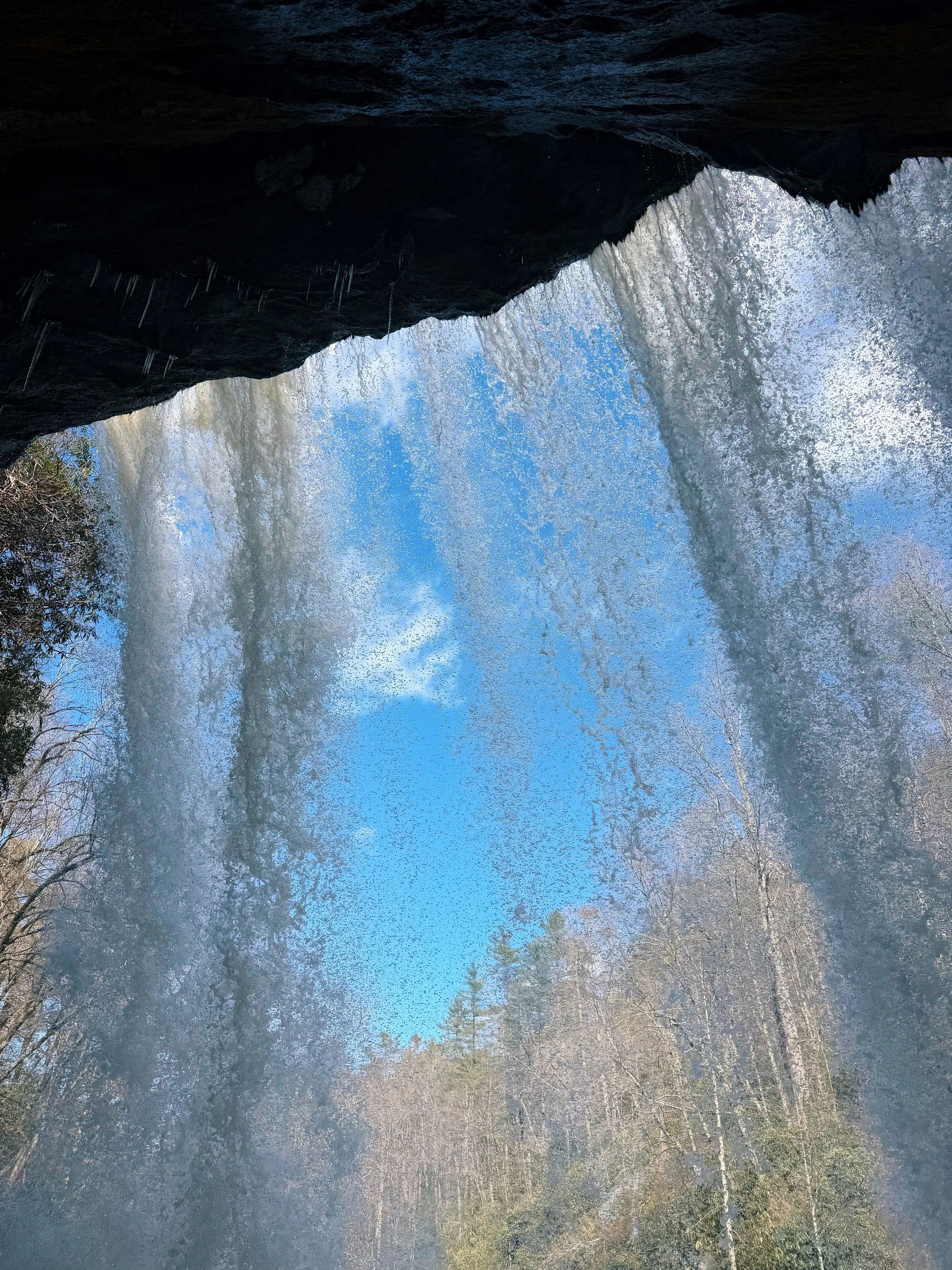 IMG_3447_VSCO.JPEG