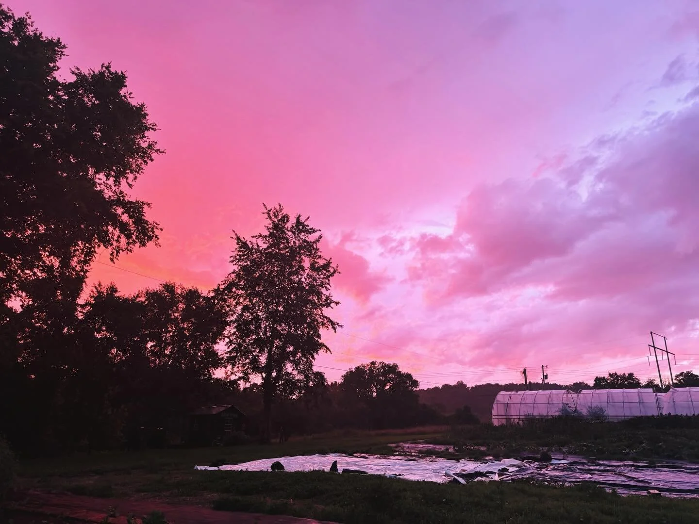 When it&rsquo;s pouring rain ☔️ but sunset 🌄 at the same time - this is worth running outside and getting soaked for. 

#santafetn #thekindredfarm #seethebeauty #lookup #farmsunset