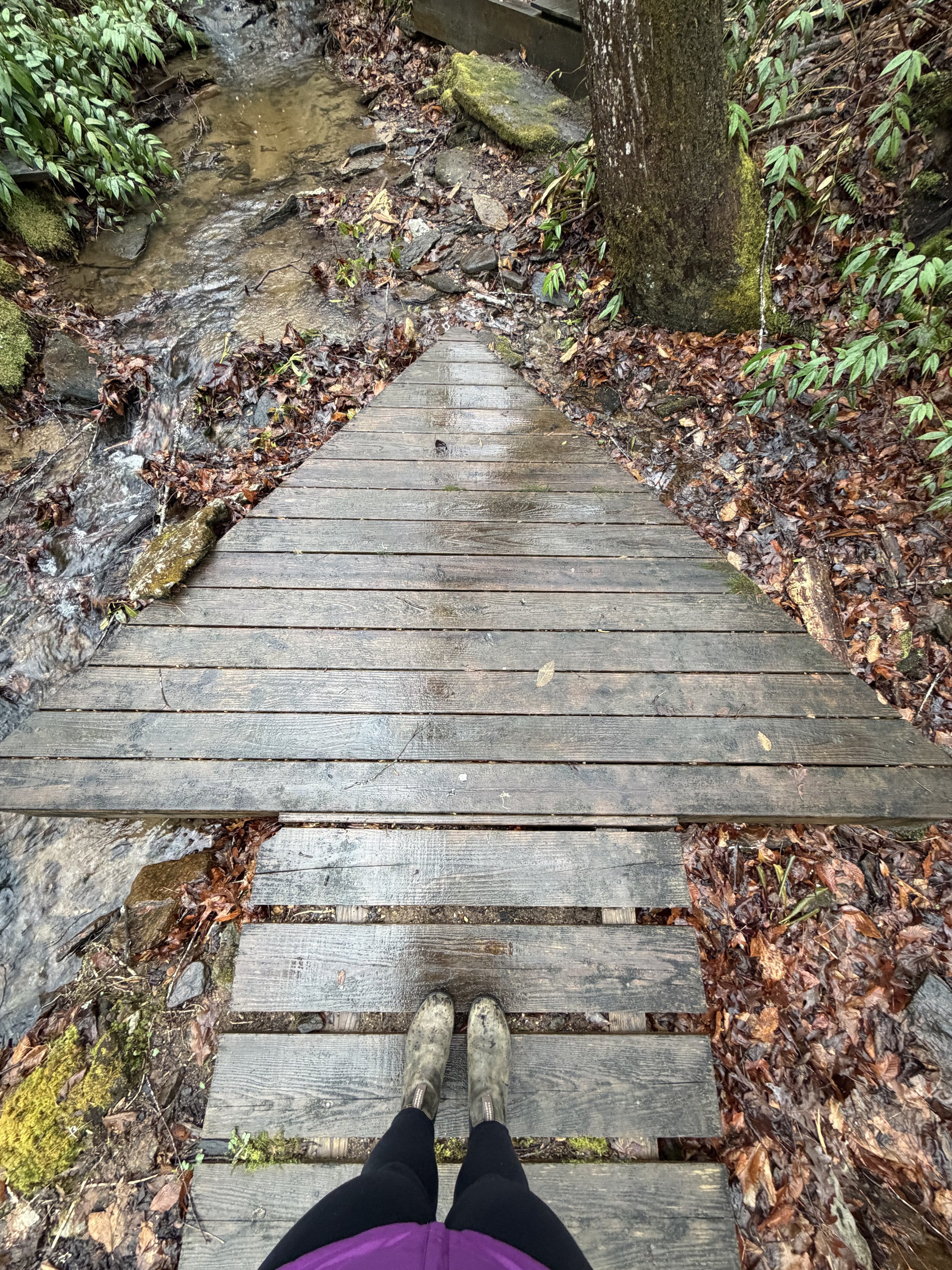 North Carolina Mountain Interlude (Dry Falls &amp; Brevard)