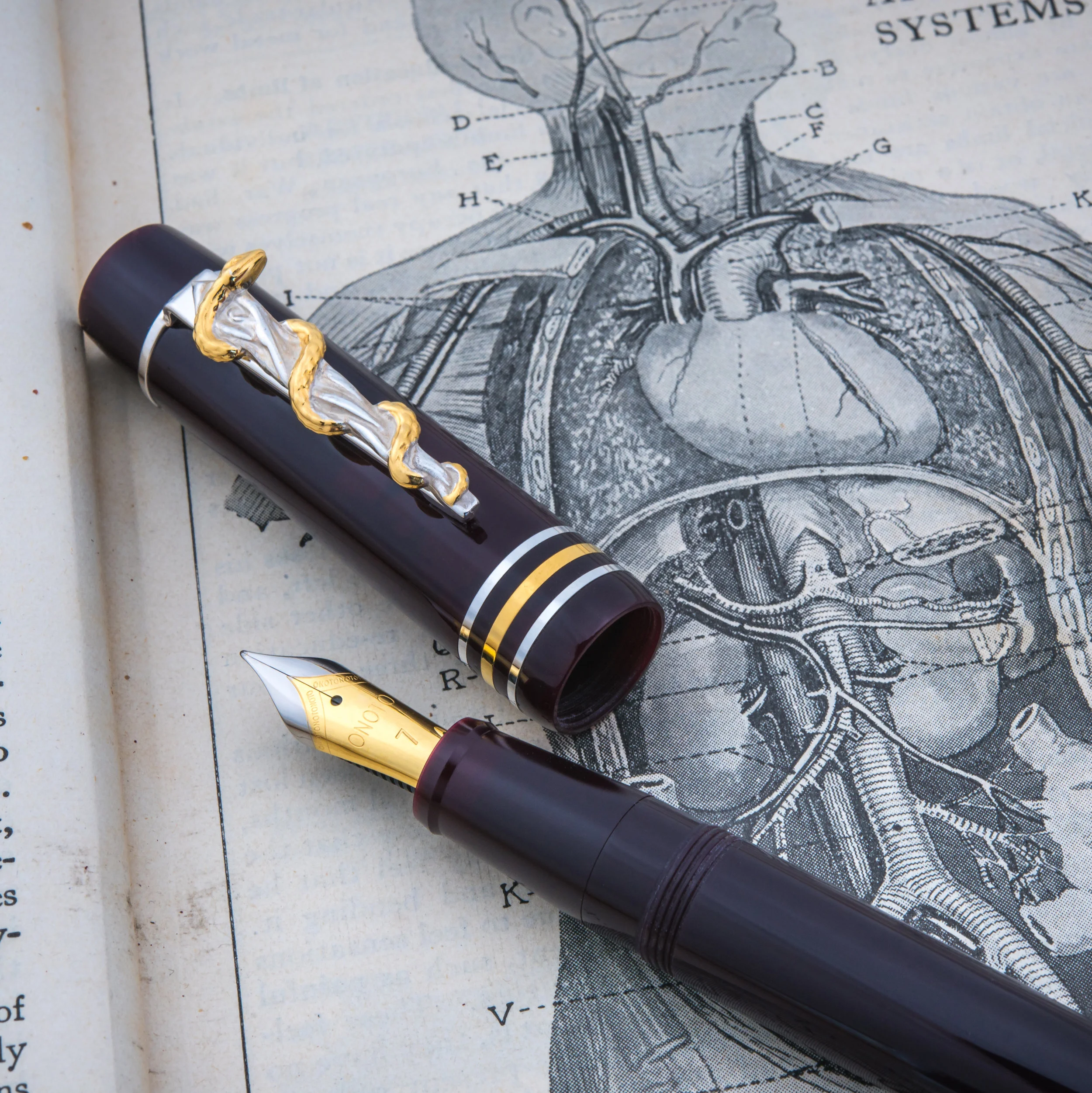 Onoto_New_Doctors_Pen_2017-3 copy.jpg