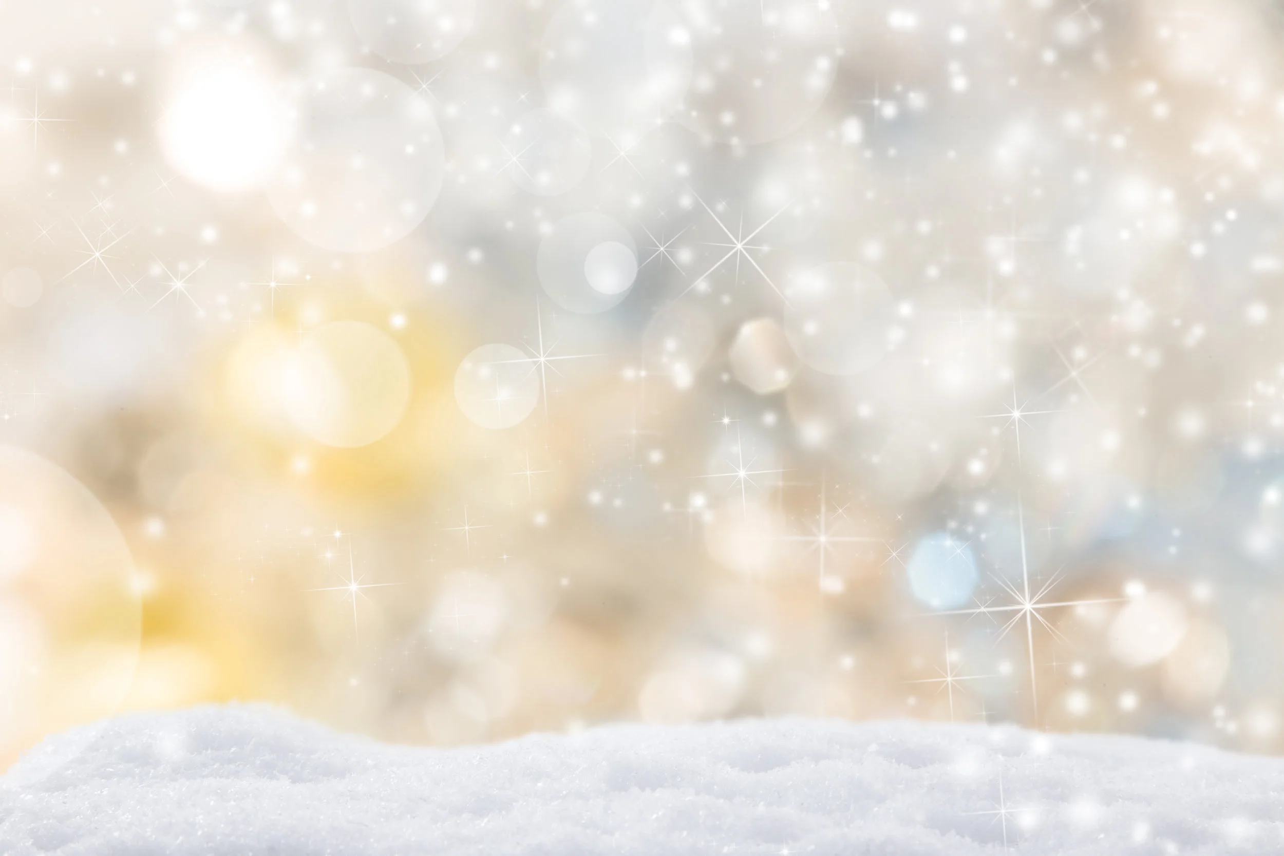 FSTM Community Holiday Party