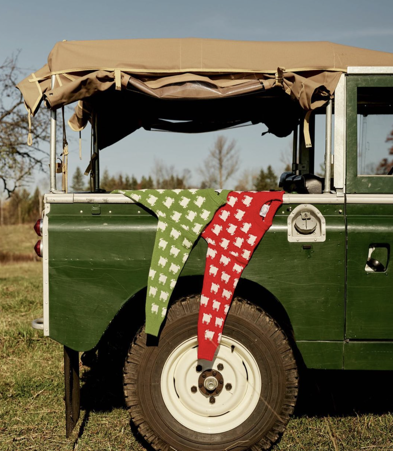 Screen Shot 2024-09-30 at 8.51.41 PM.png