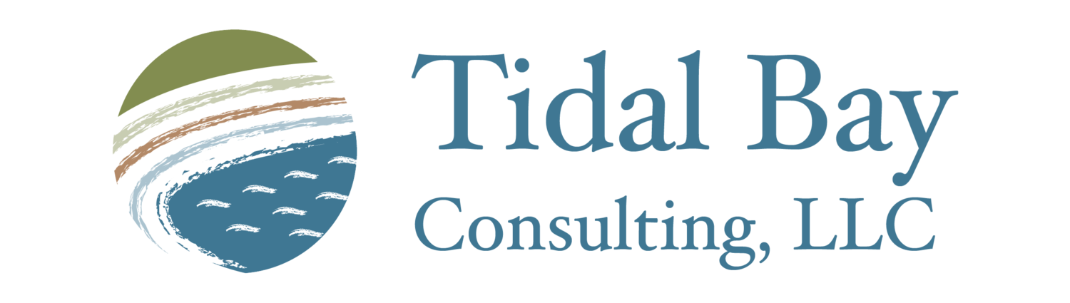 Tidal Bay Consulting