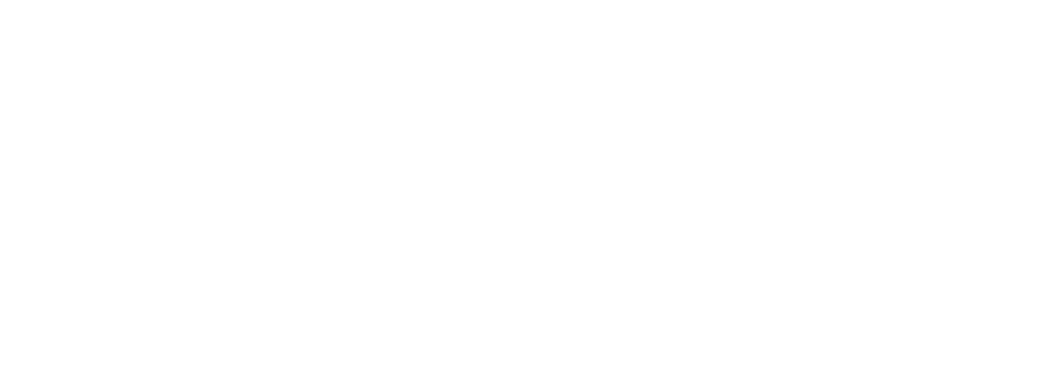 Skyway Media Group