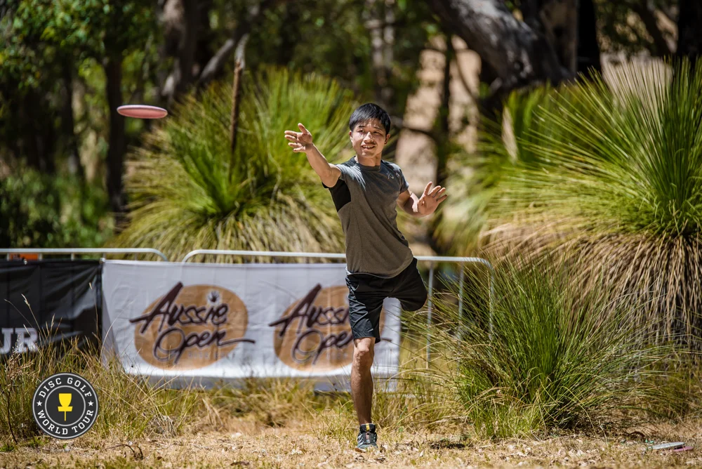 Photo: Eino Ansio, Disc Golf World Tour