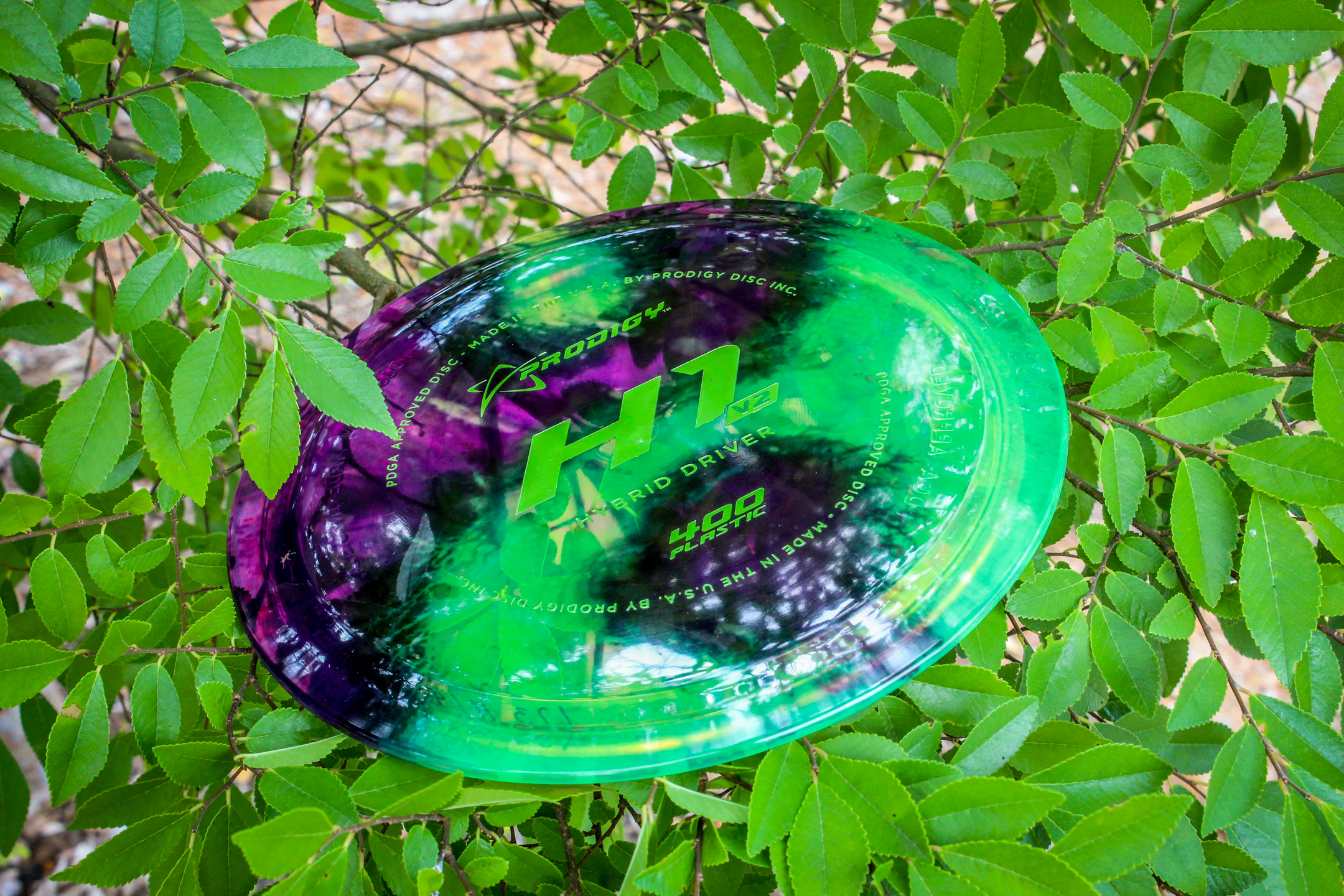 Tie_Dye_2018_Social-9.jpg