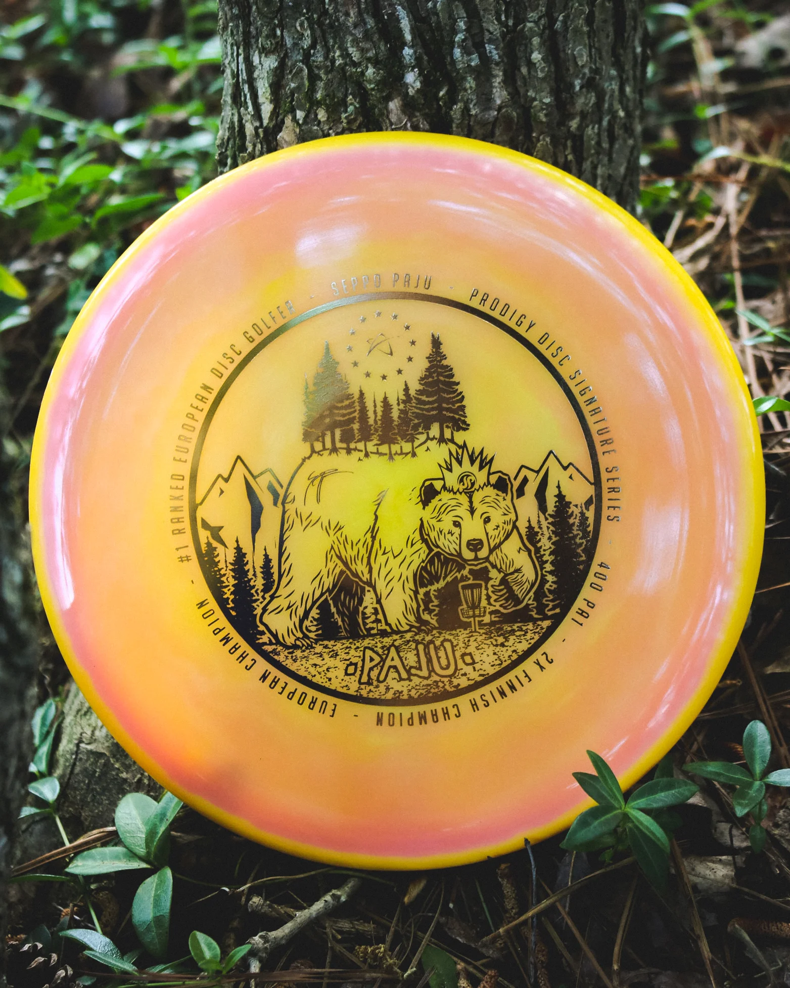 prodigy-PA1-400-seppo-paju-sig-special-edition-9.jpg