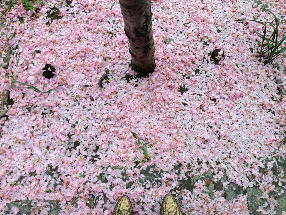 Self Portrait, New York, 2013