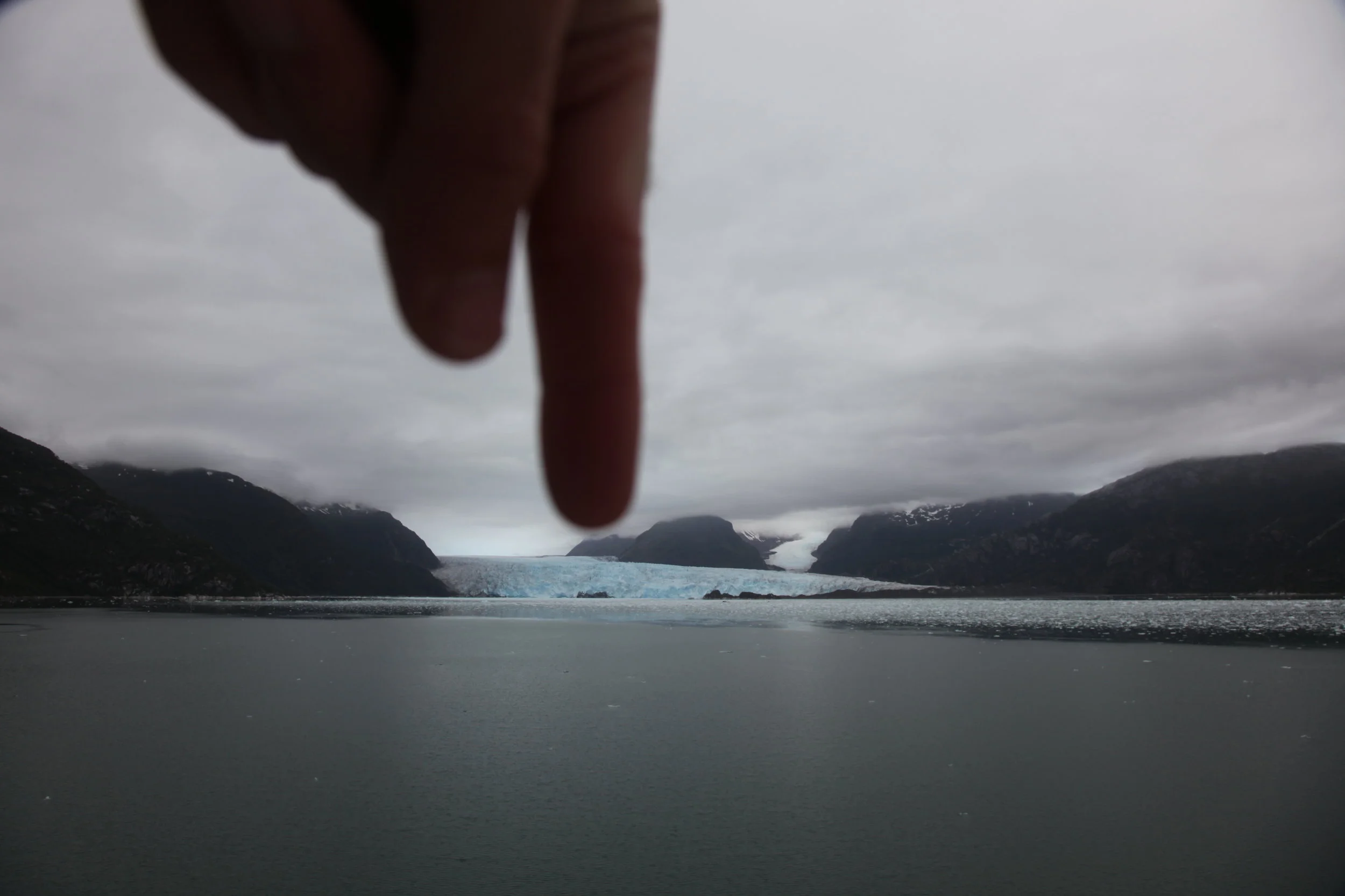 Amalia Glacier, 2010