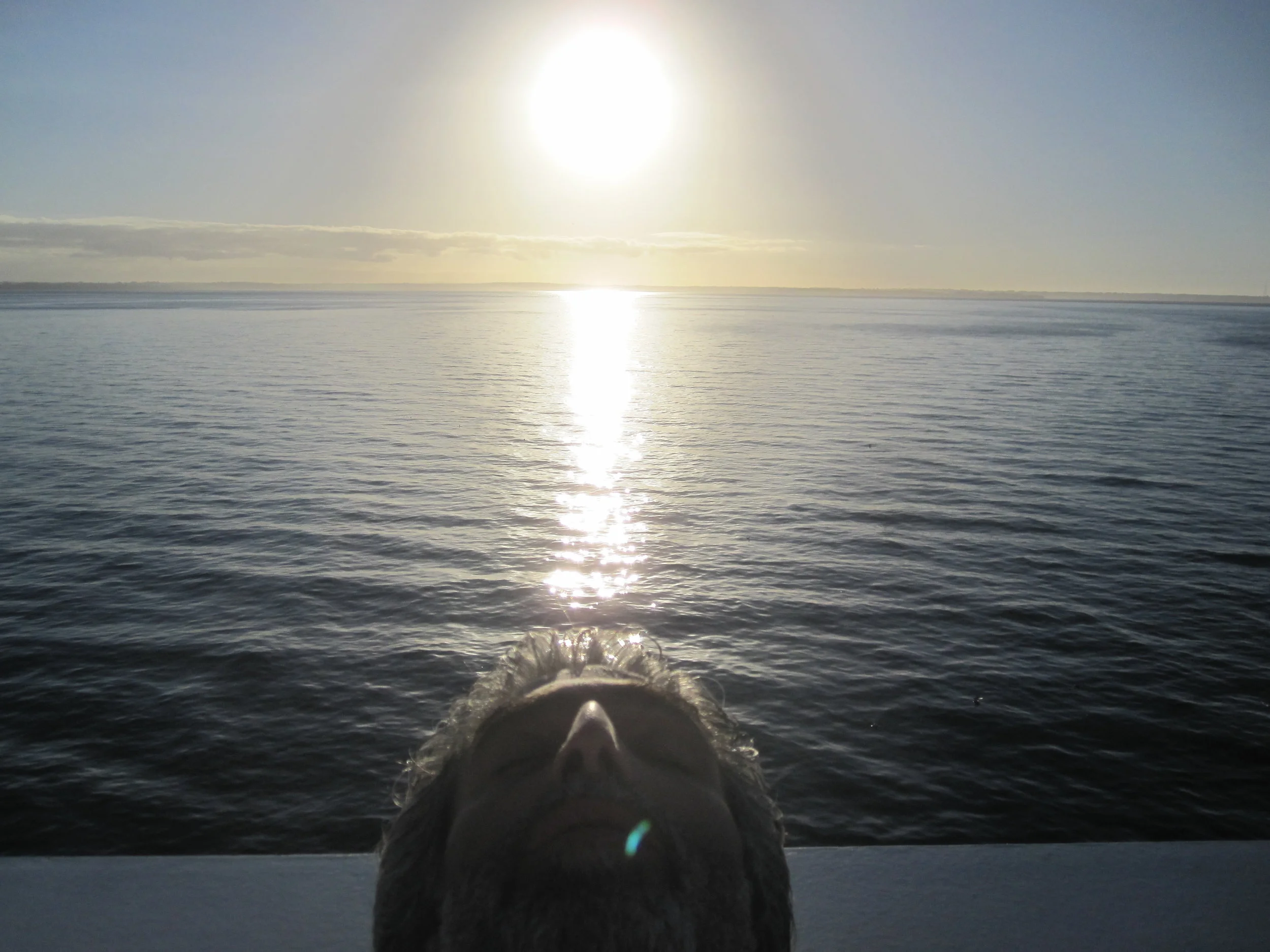 Close to Puerto Mont, 2010