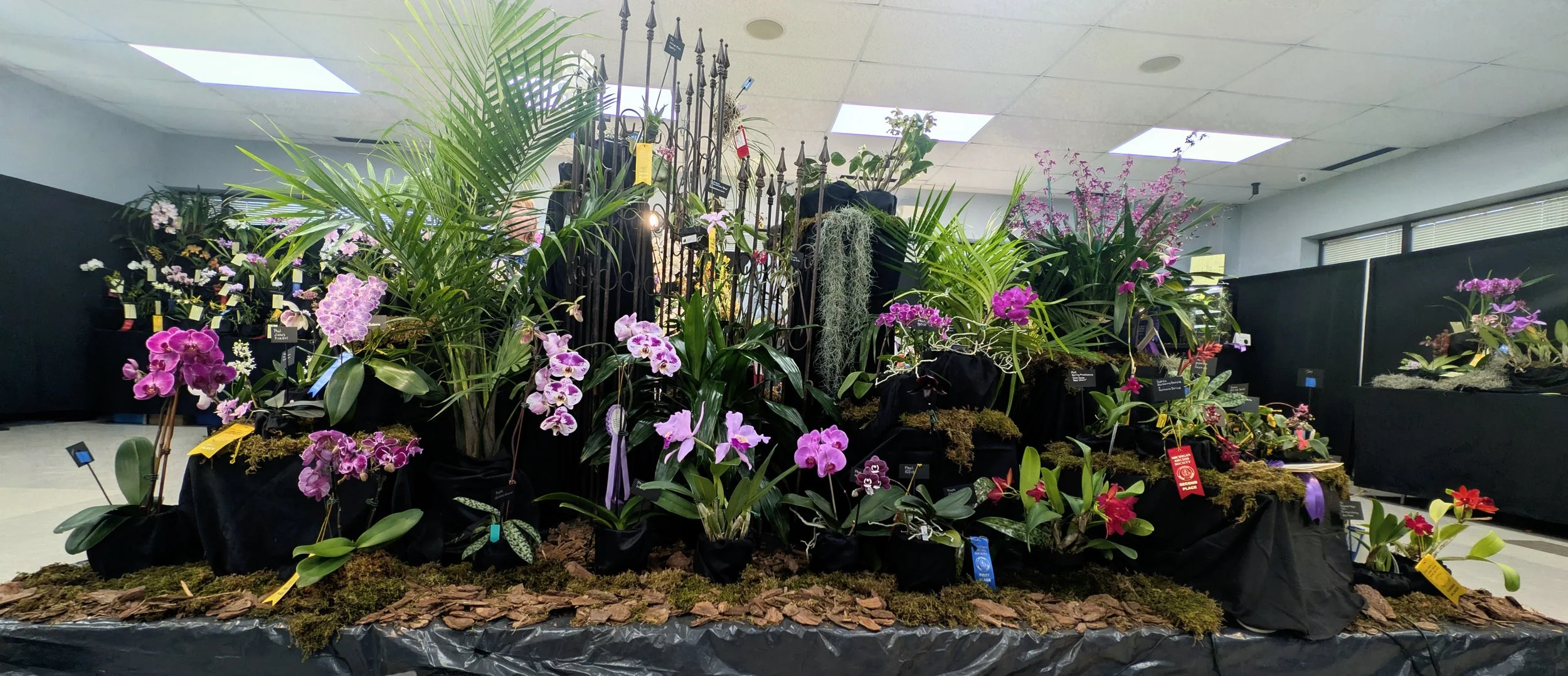 2026 MOS Show Display