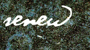 Renew: Gospel Change from the Inside Out