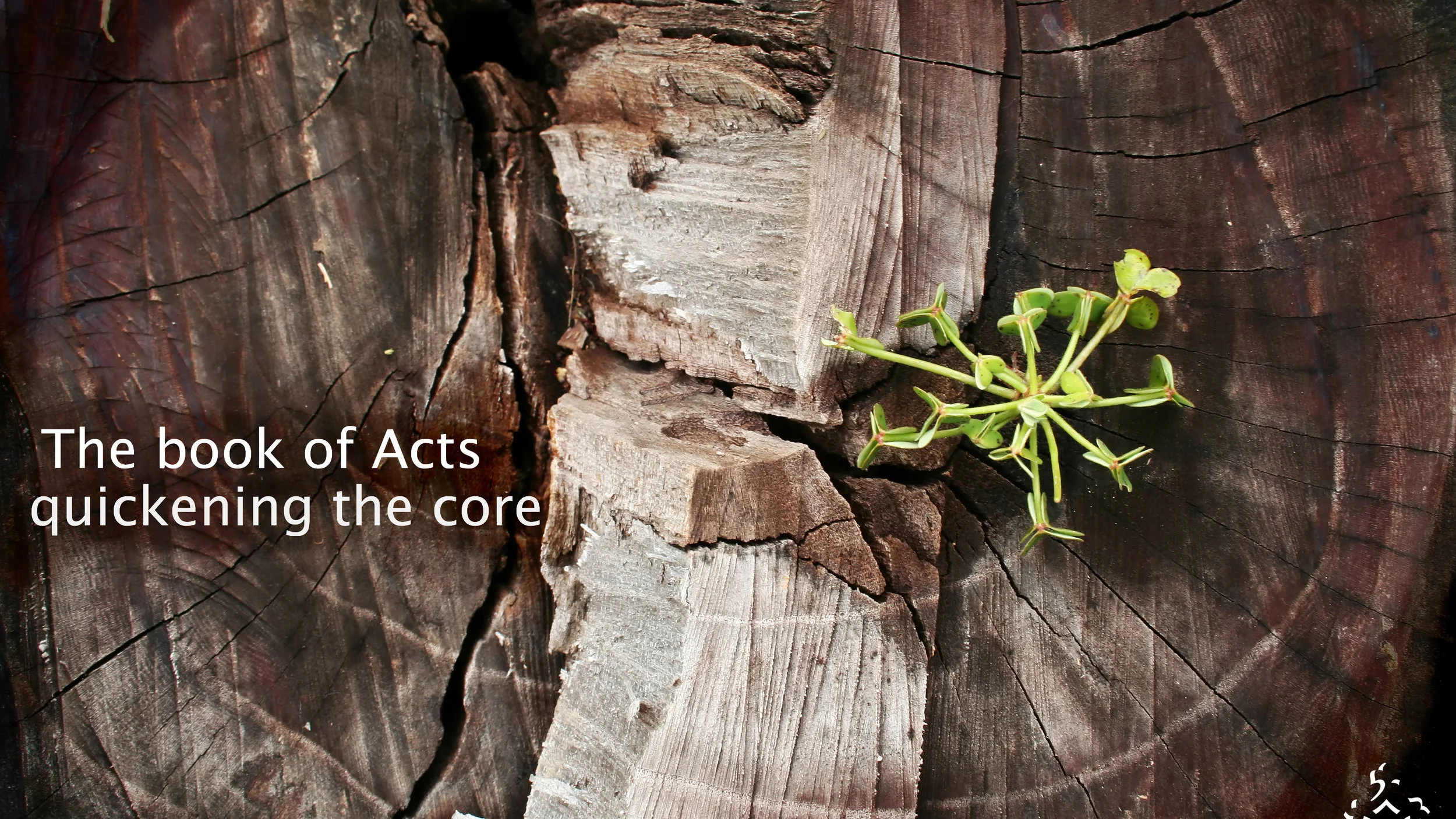 The Book of Acts: Quickening the Core