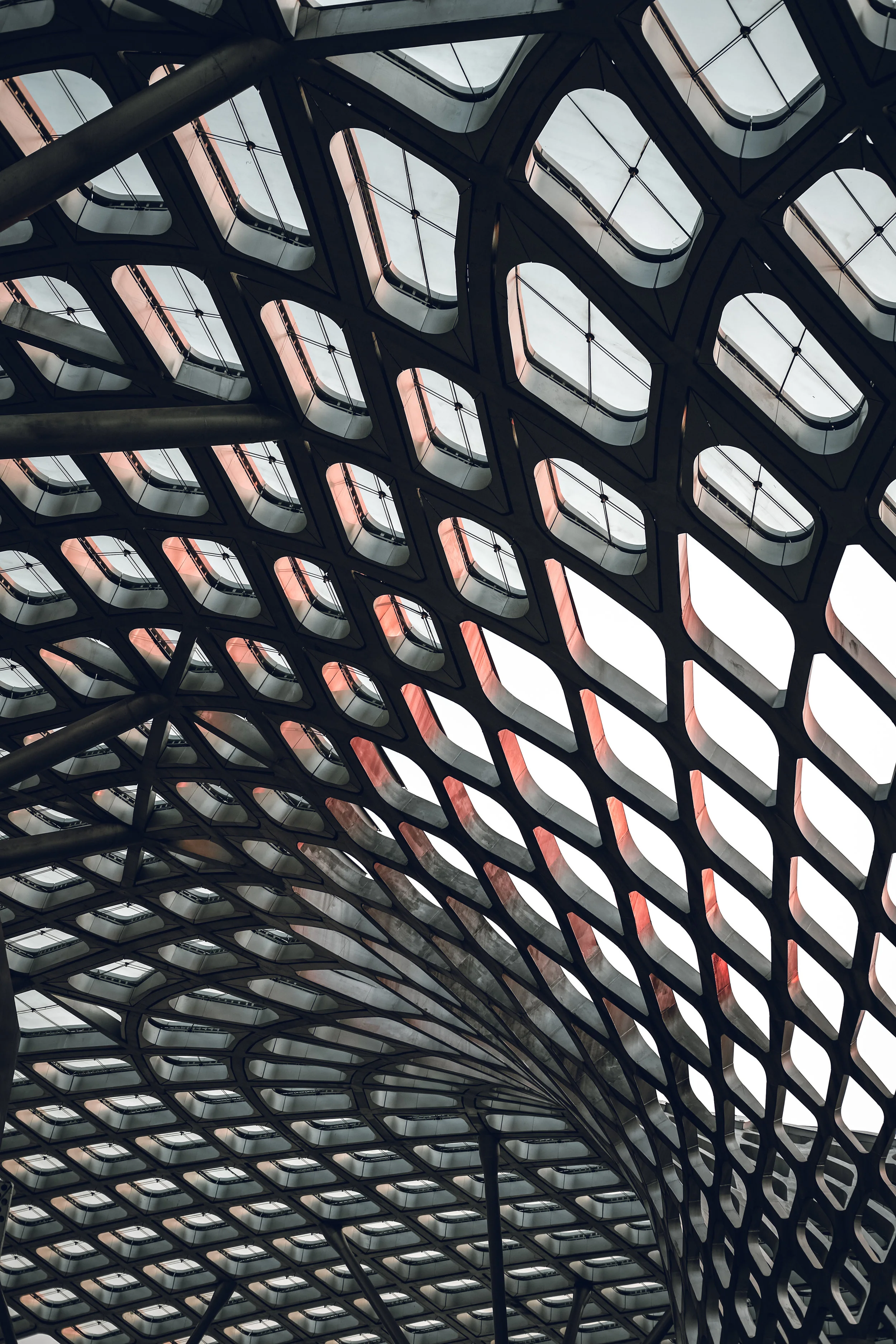 Habits of Purpose Amidst a Global Pandemic