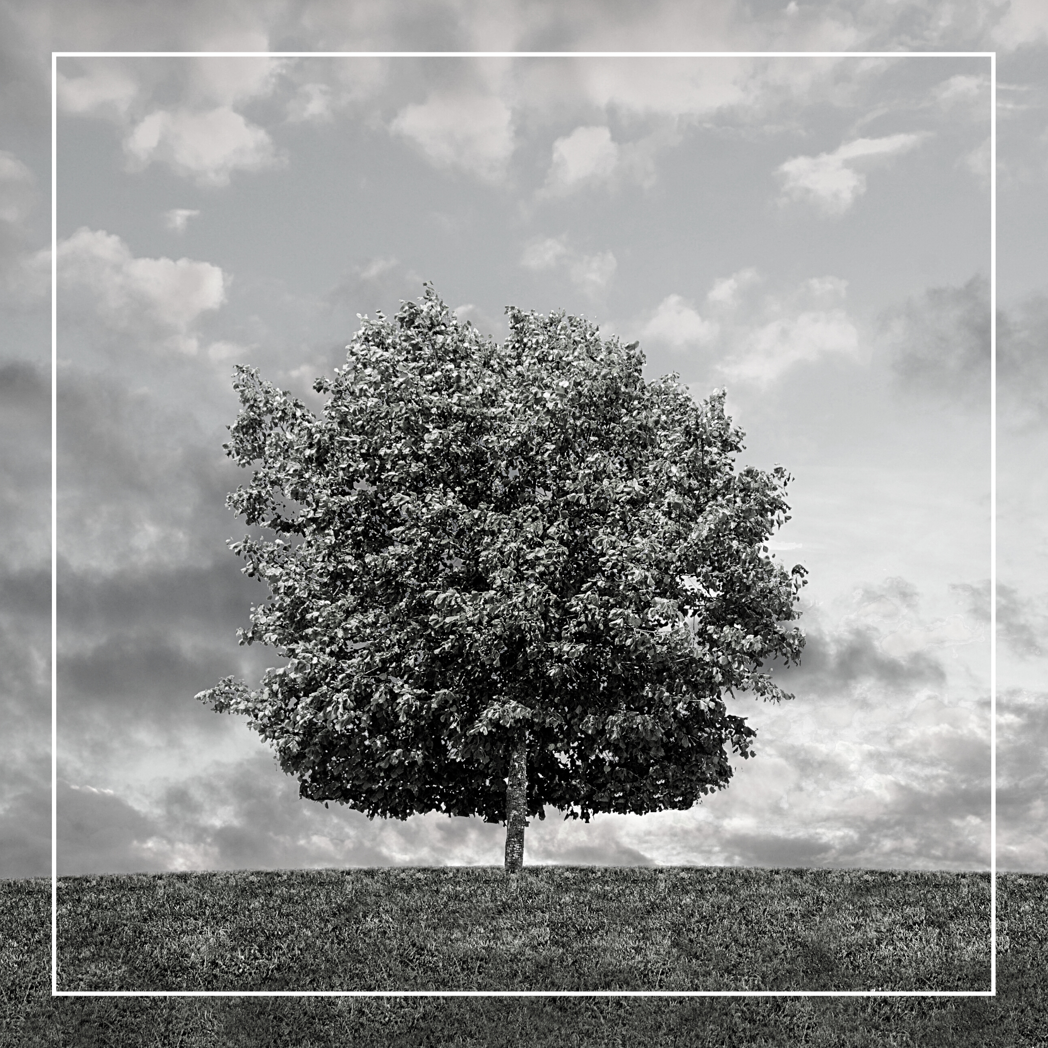 A Practical Model for Personal Change