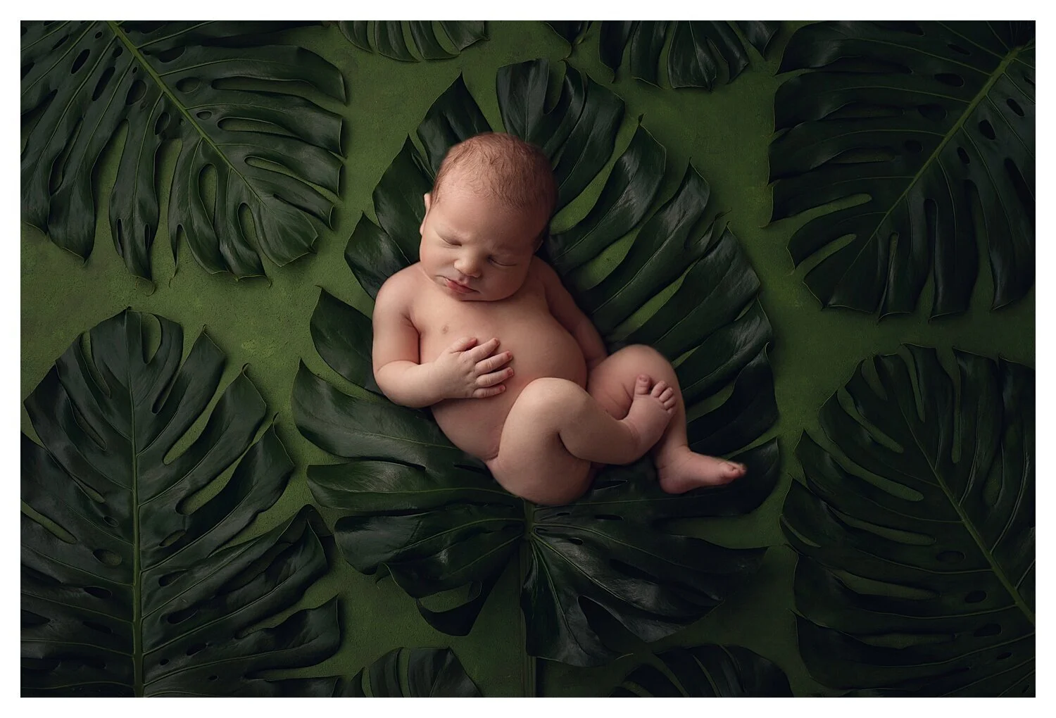  Sweet Baby Noah Newborn Photos by Emily Moncus