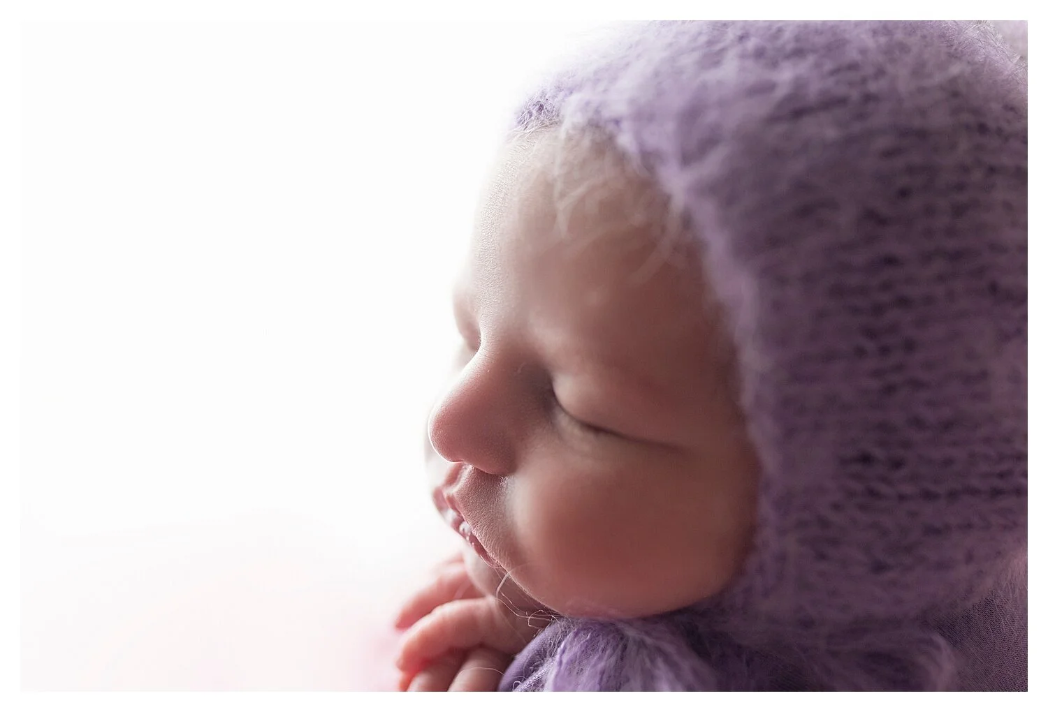 Family Tradition: Purple Newborn Photos with Brinlee