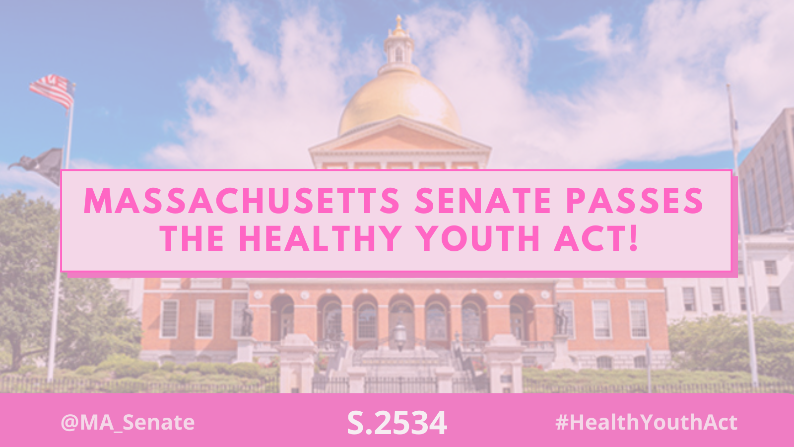 DiDomenico's Healthy Youth Act Passed by Massachusetts Senate