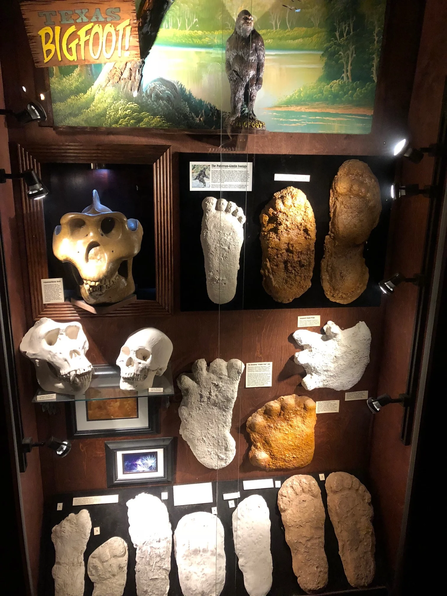 The Museum Of The Weird offers a Bigfoot-heavy varierty of exhbits. (Mike Damante)
