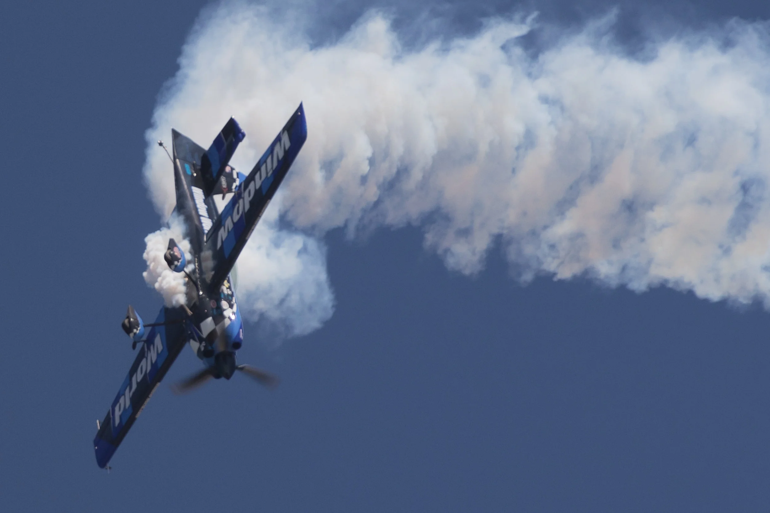 Window world Loop-2015.JPG