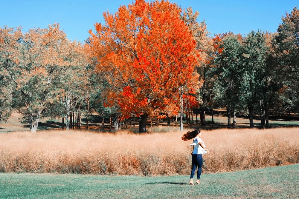 Your Guide to New York This Fall.