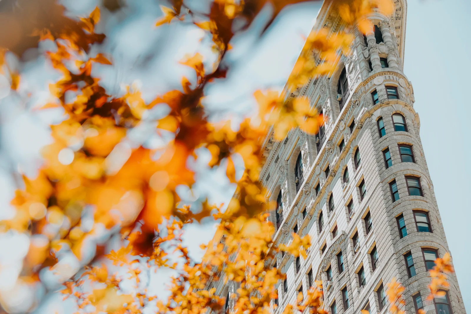 Melanie Sutrathhada shares her top 20 things to do in NYC this fall..jpg