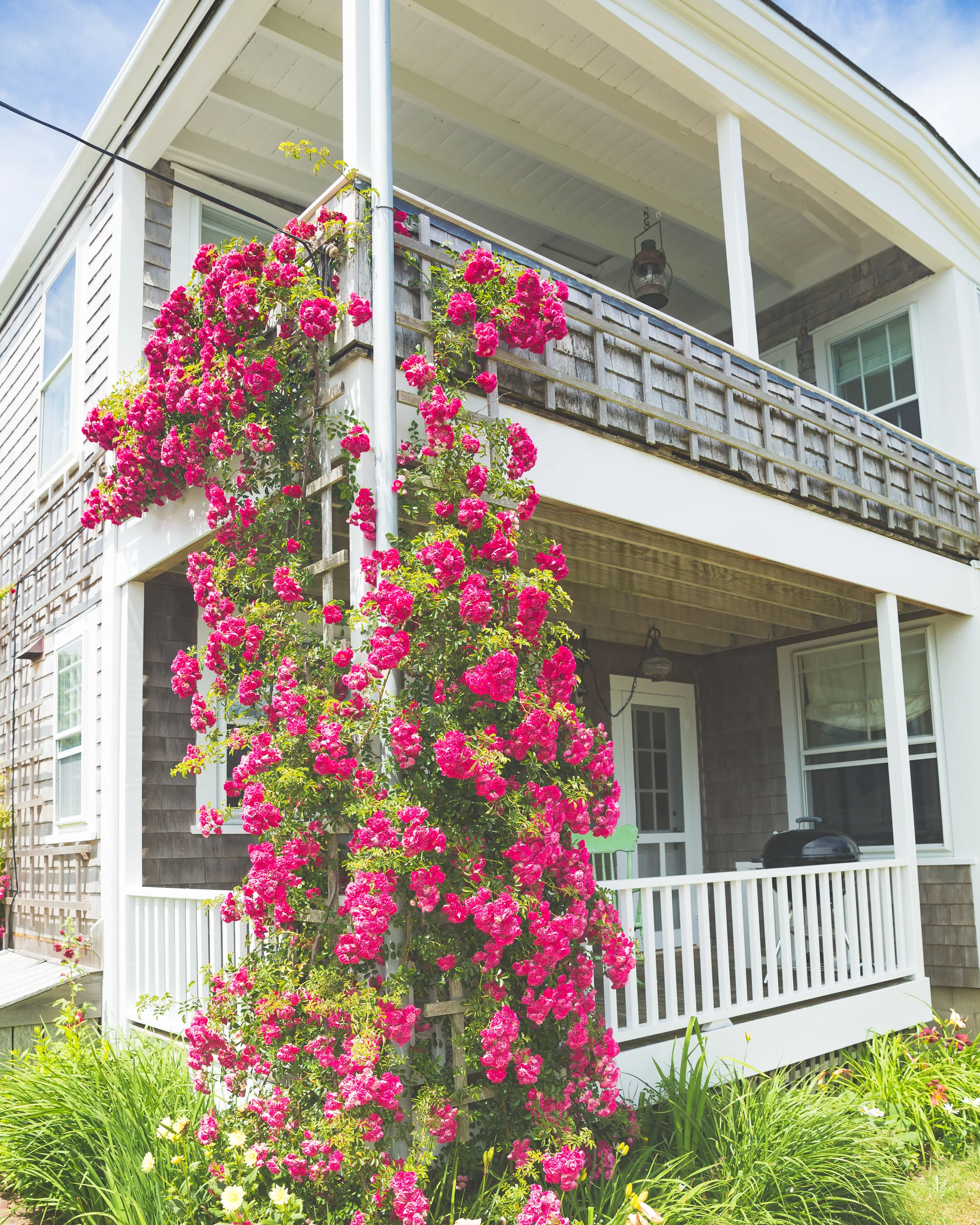Melanie Sutrathada shares her top 10 list of things to do in Nantucket.jpg