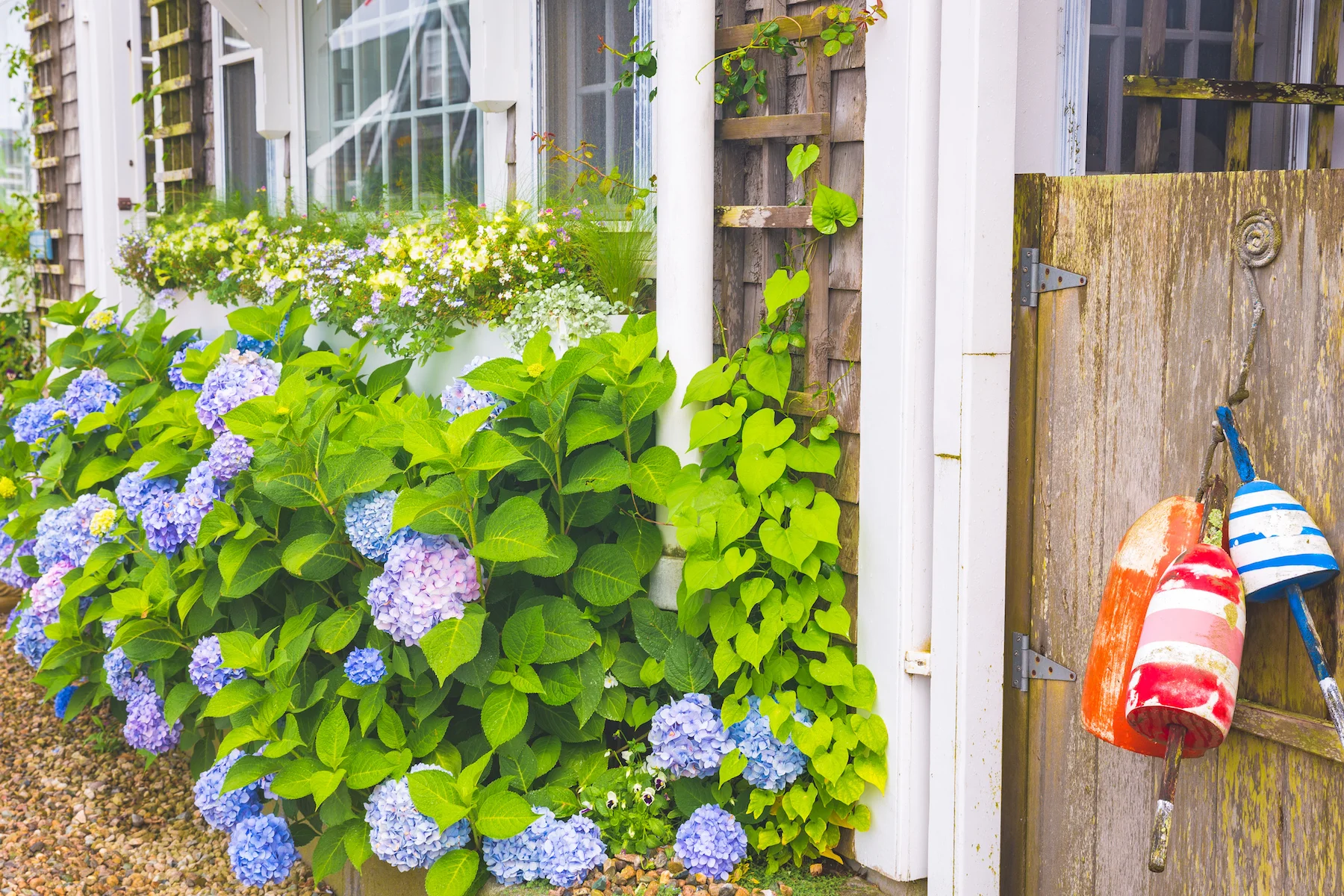 Melanie Sutrathada shares her top 10 list of things to do in Nantucket this season.jpg