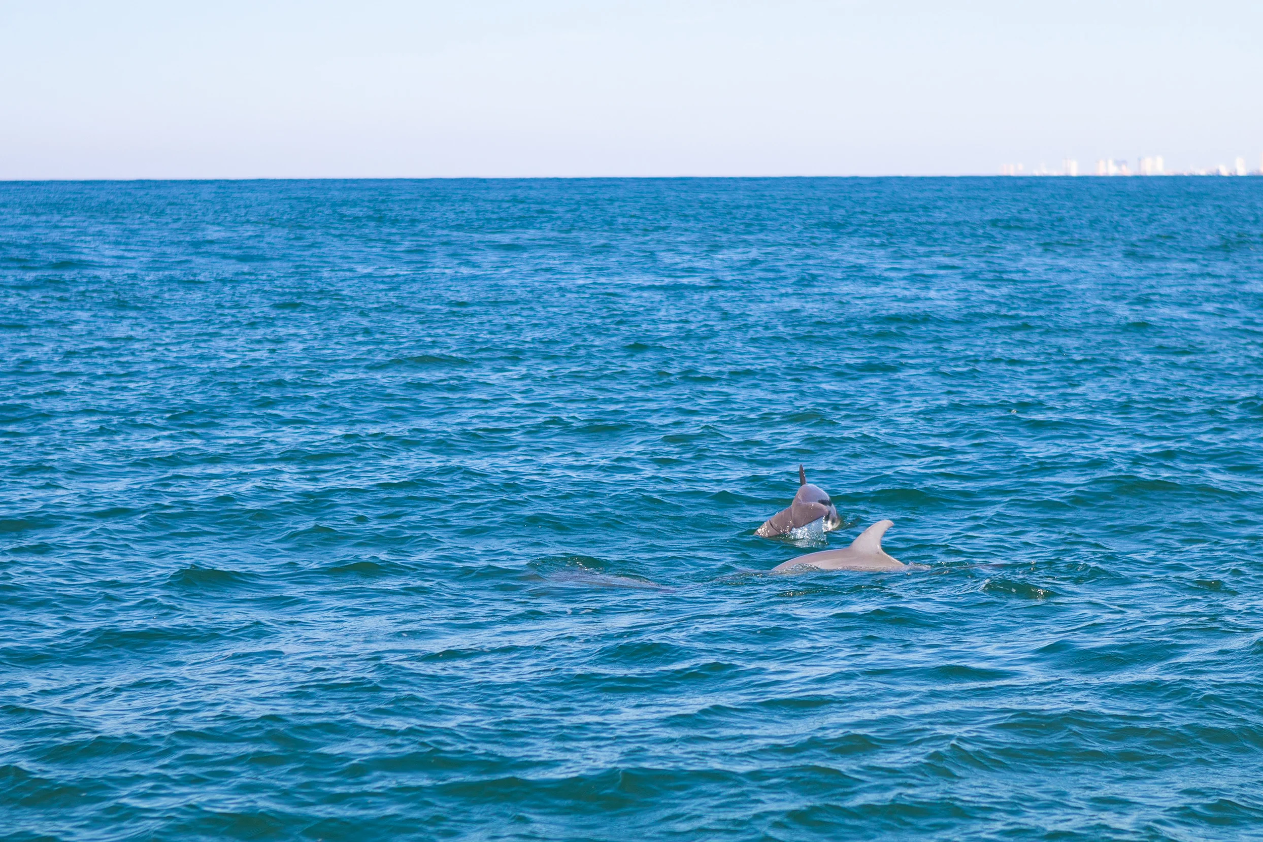 Melanie Sutrathada shares why you should visit Panama City Beach in Florida..jpg