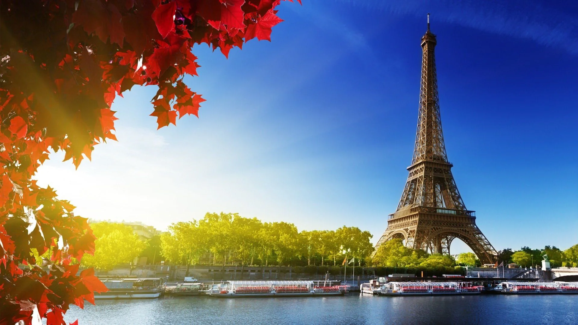 Eiffel-Tower-Paris-France-Autumn.jpg
