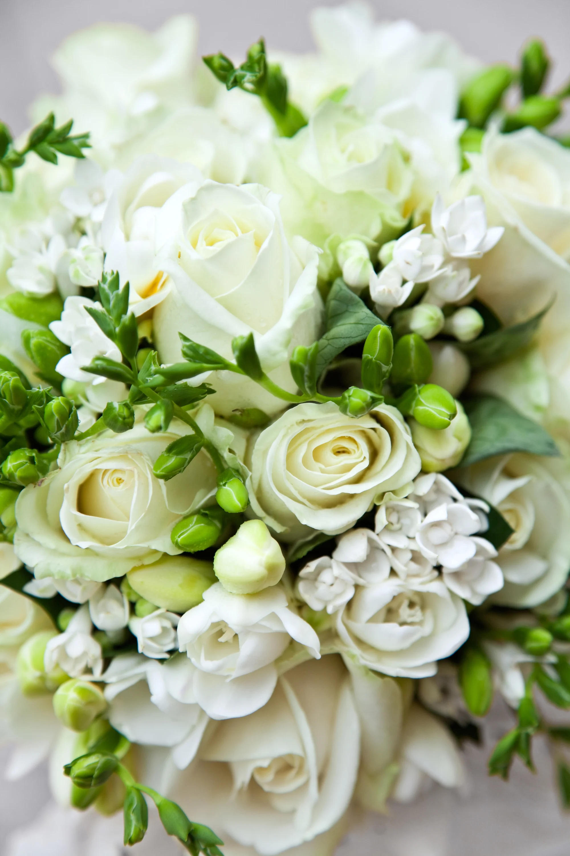 shutterstock_84639307_sm.jpg