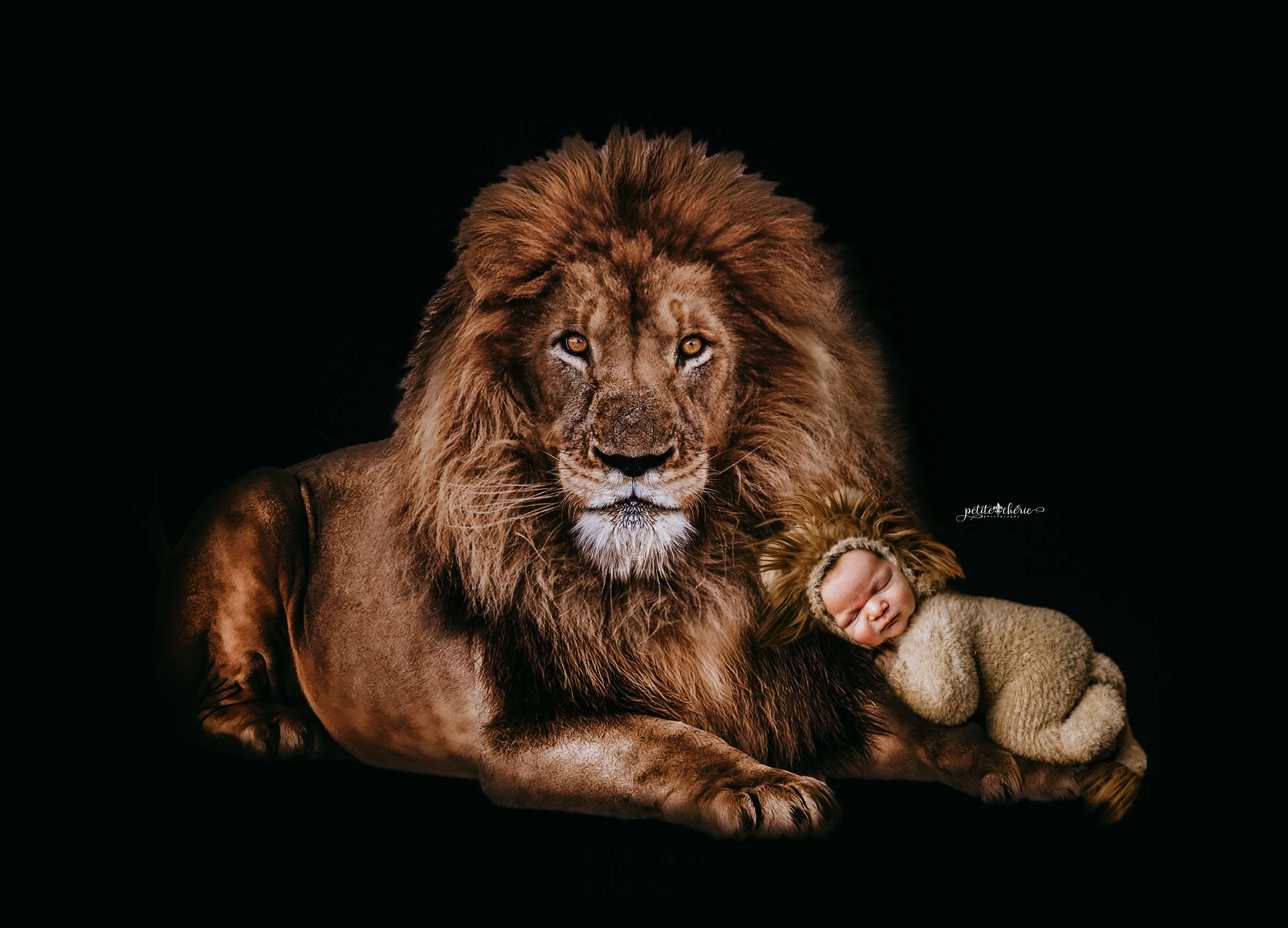 IMG_4708-Edit-2-Edit.jpg