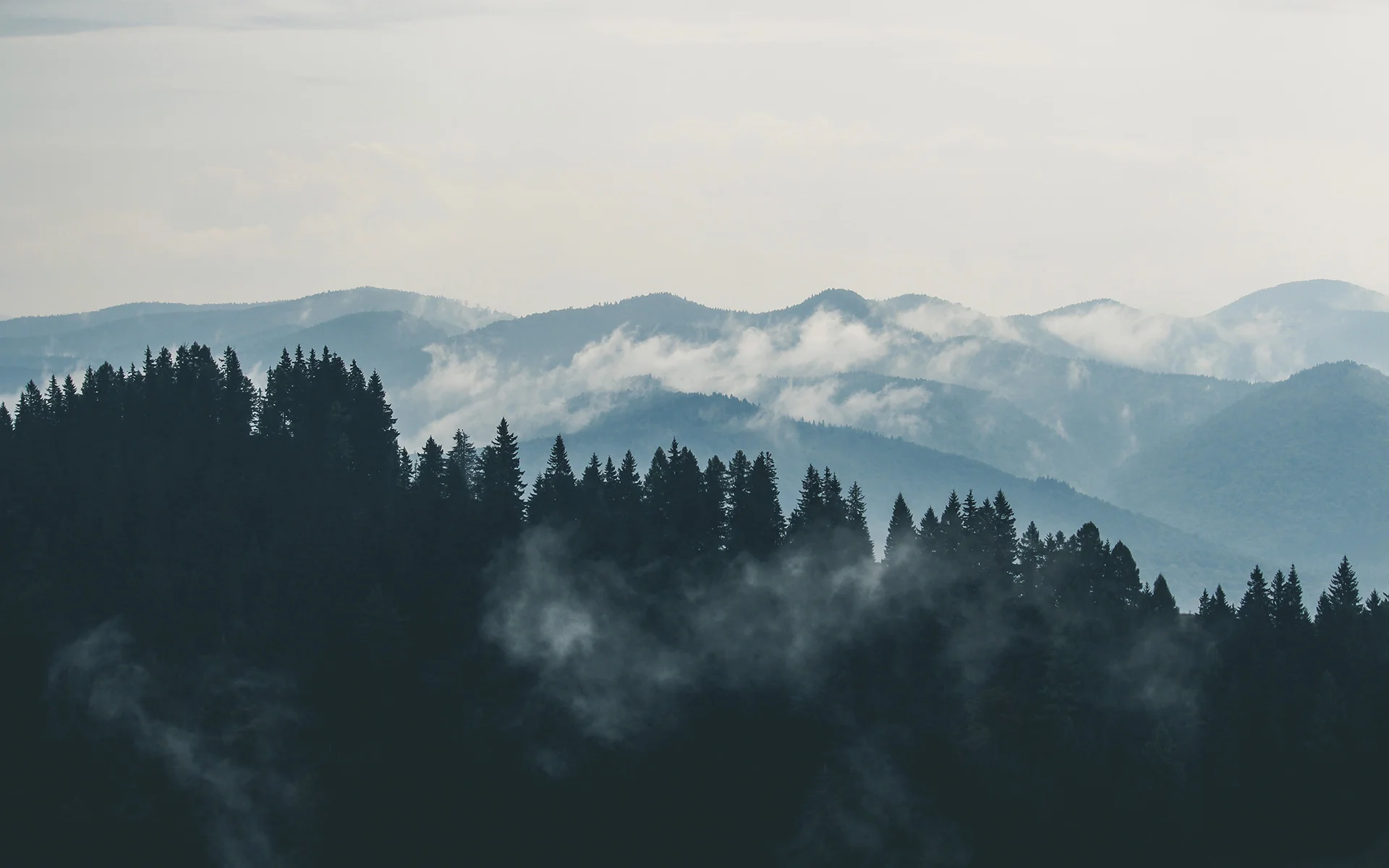mountains-clouds-forest-fog.jpg