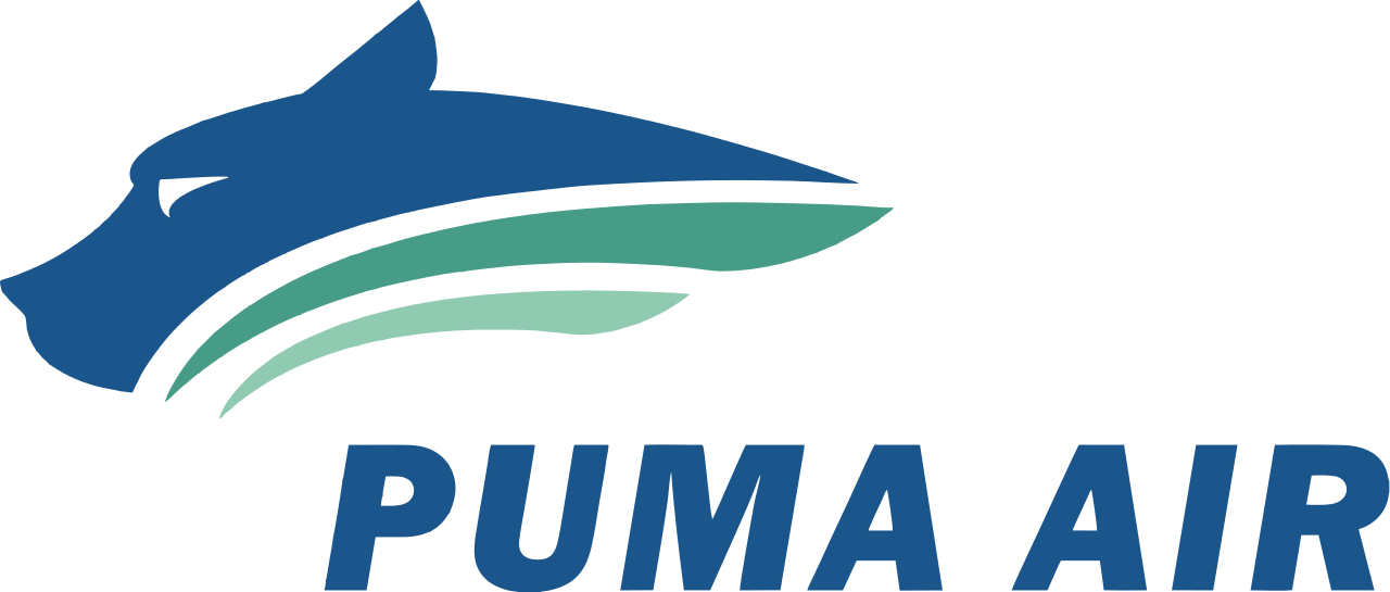 puma air.png
