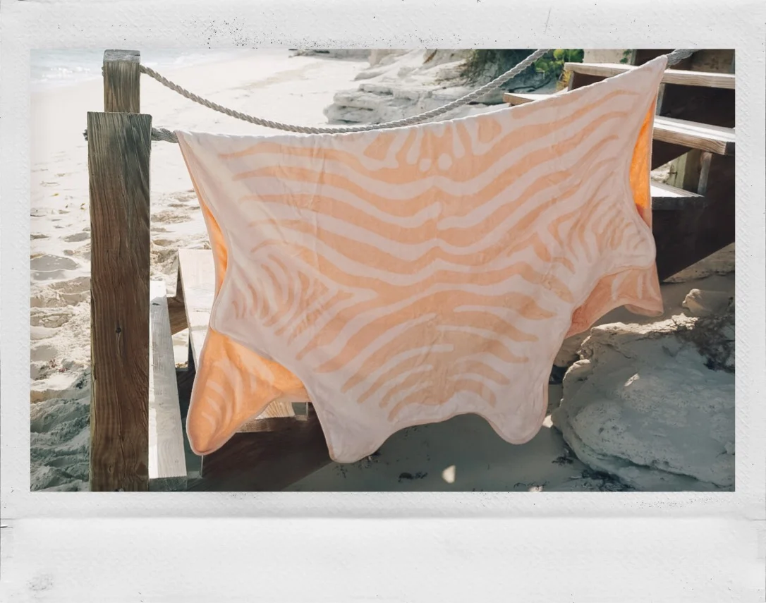 AfterlightImage 22.JPG