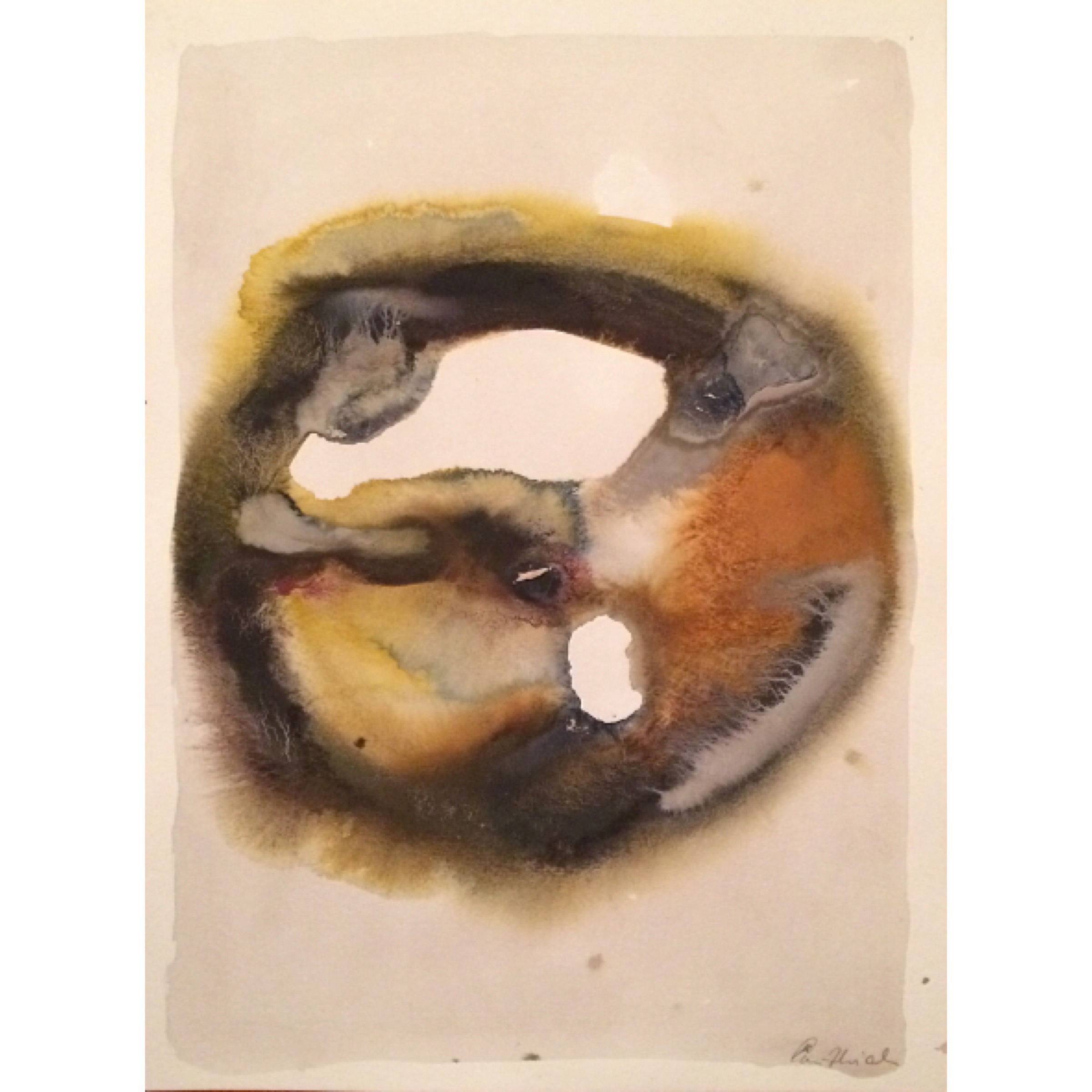 image7.jpeg