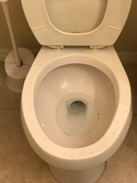 What's that all over and IN the toilet you ask? It's freaking cat litter. The asshole cats like to do their business in their litter box and then drink water from our toilet, making an even bigger mess in the process.