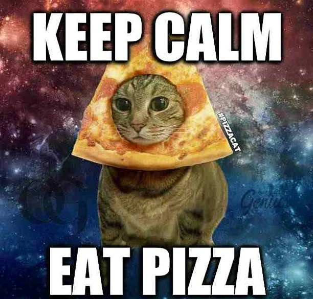 pizza cat.jpg