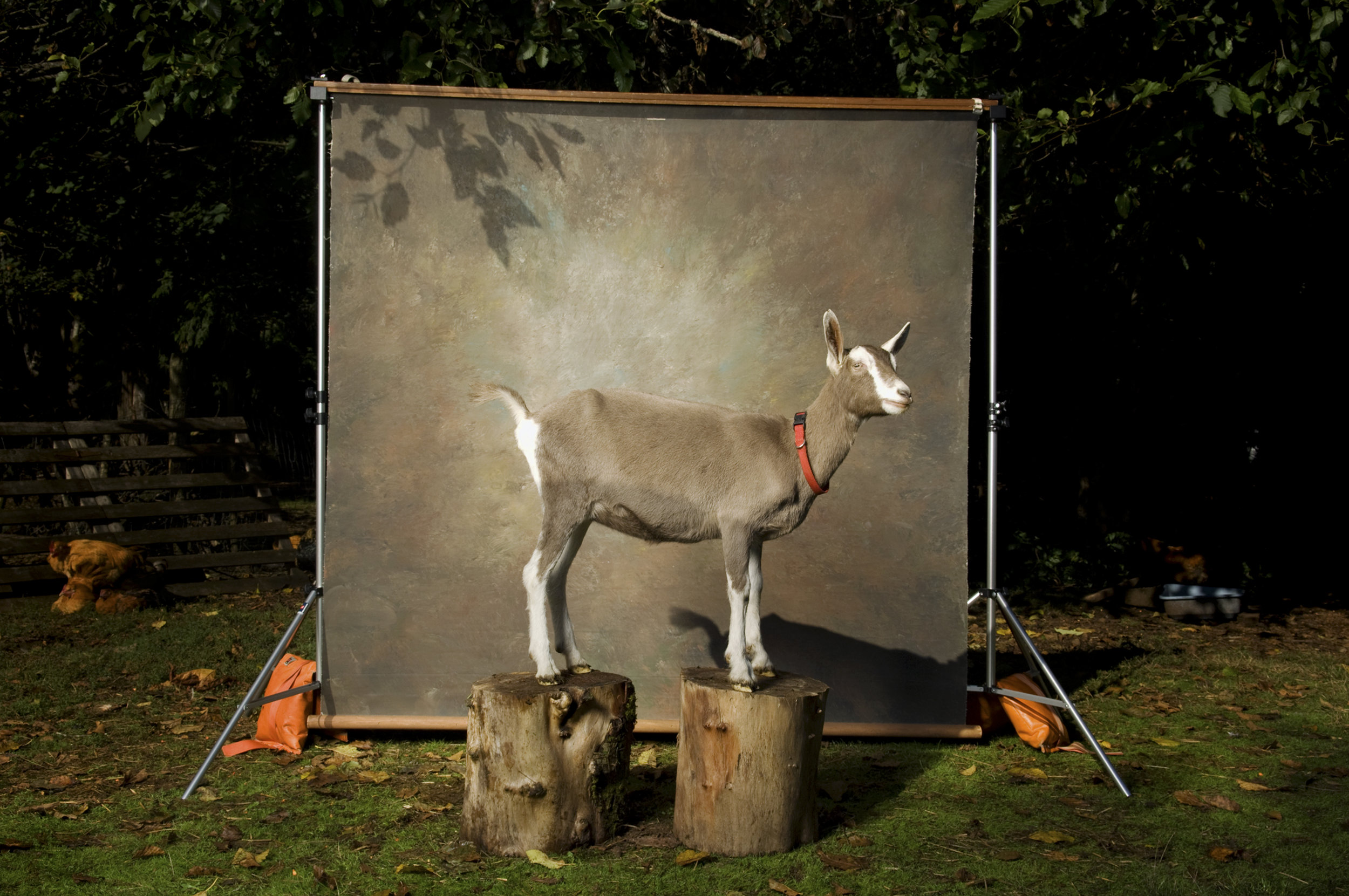  Untitled #31, 2010 / Digital C-print / 30 x 40 inches / 76.2 x 101.6 cm 