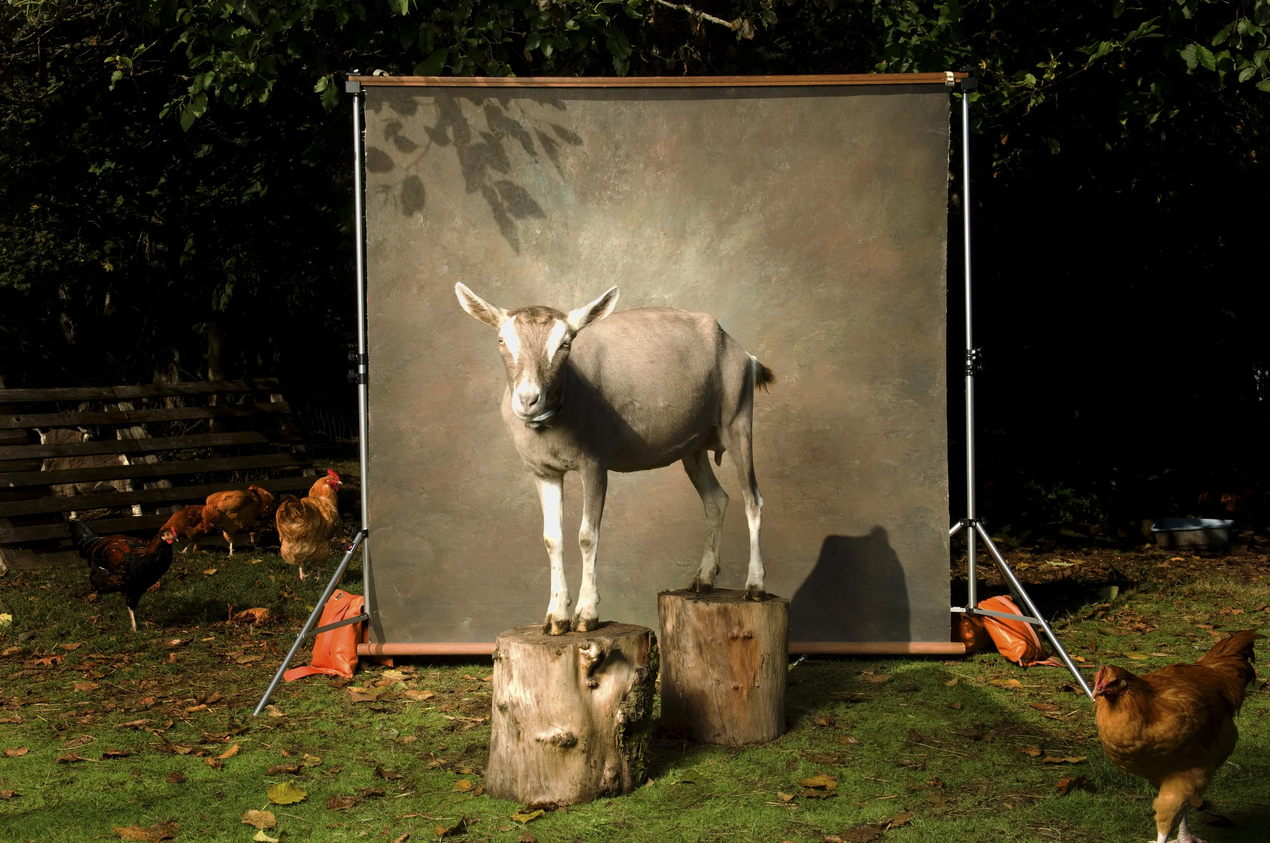  Untitled #40, 2010 / Digital C-print / 30 x 40 inches / 76.2 x 101.6 cm 