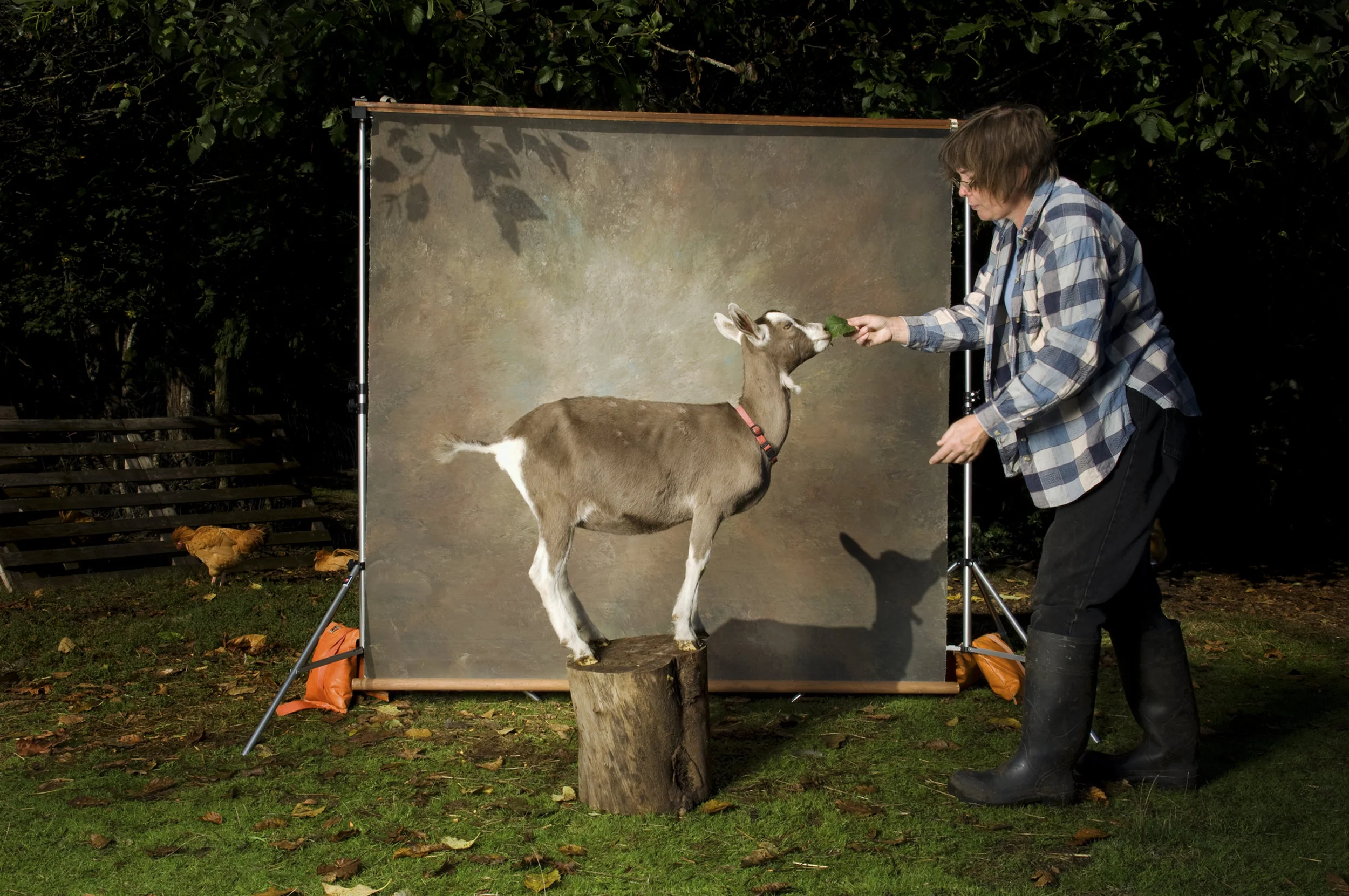  Untitled #24, 2010 / Digital C-print / 30 x 40 inches / 76.2 x 101.6 cm 