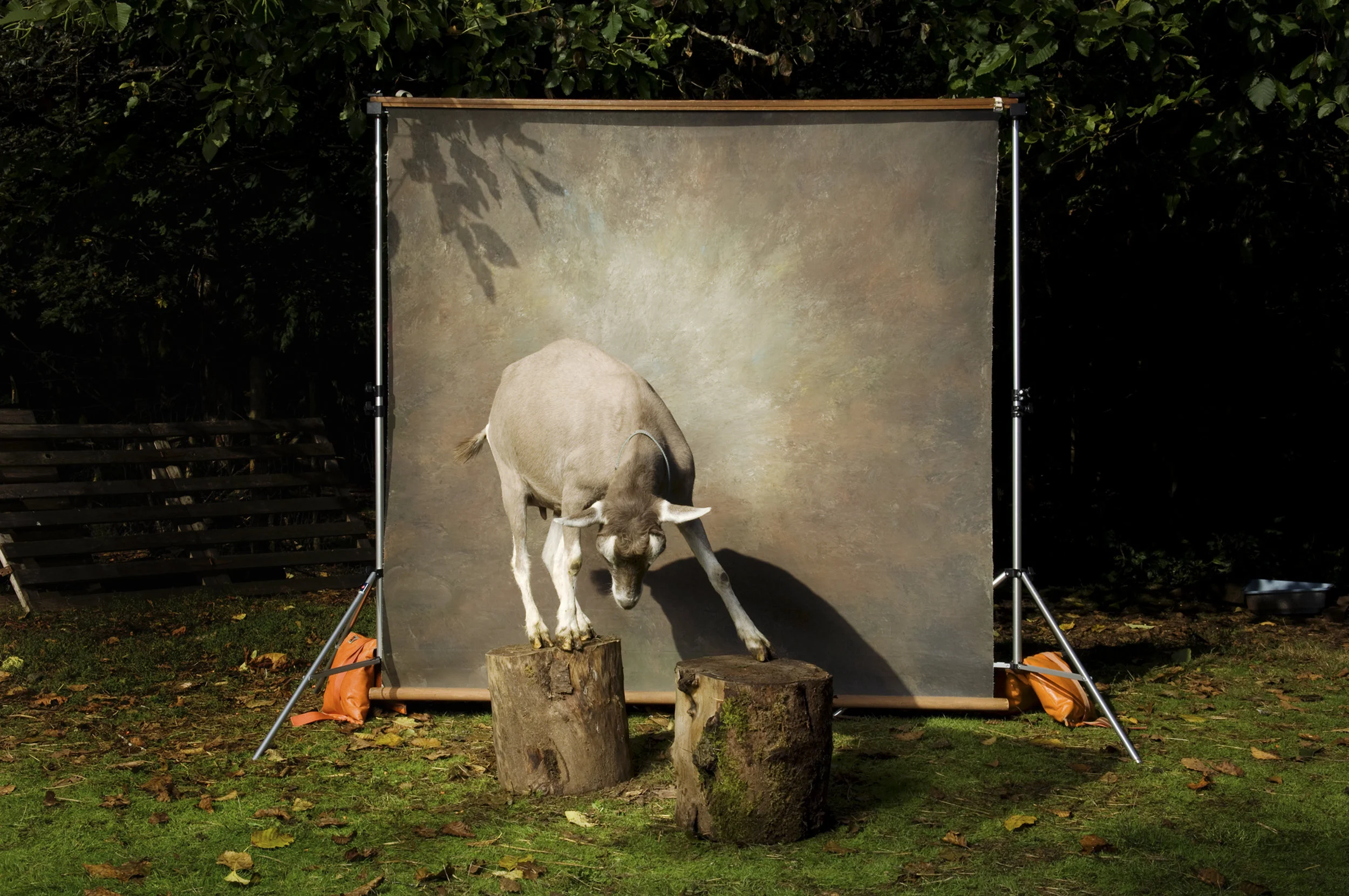  Untitled #47, 2010 / Digital C-print / 30 x 40 inches / 76.2 x 101.6 cm 