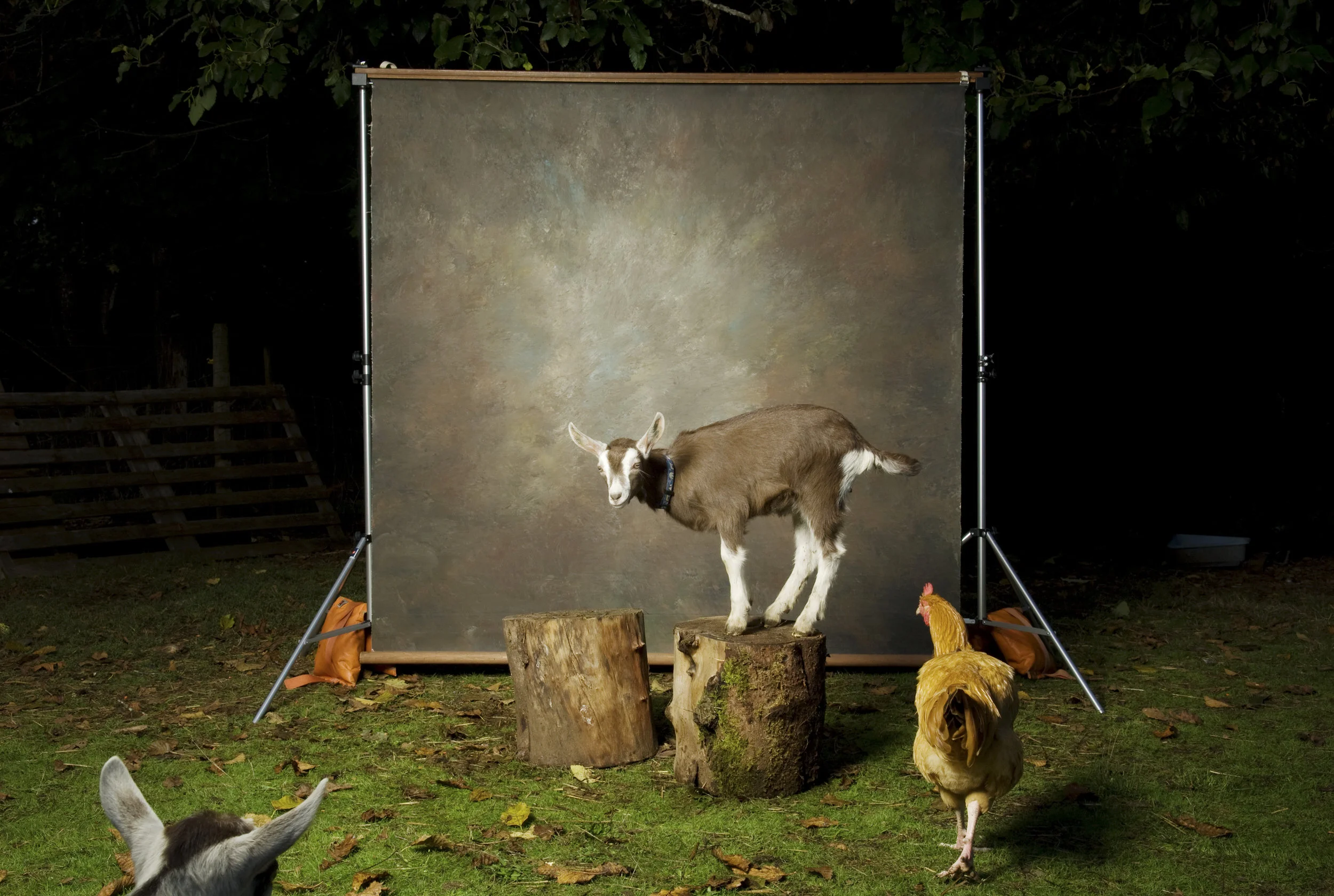  Untitled #29, 2010 / Digital C-print / 30 x 40 inches / 76.2 x 101.6 cm 