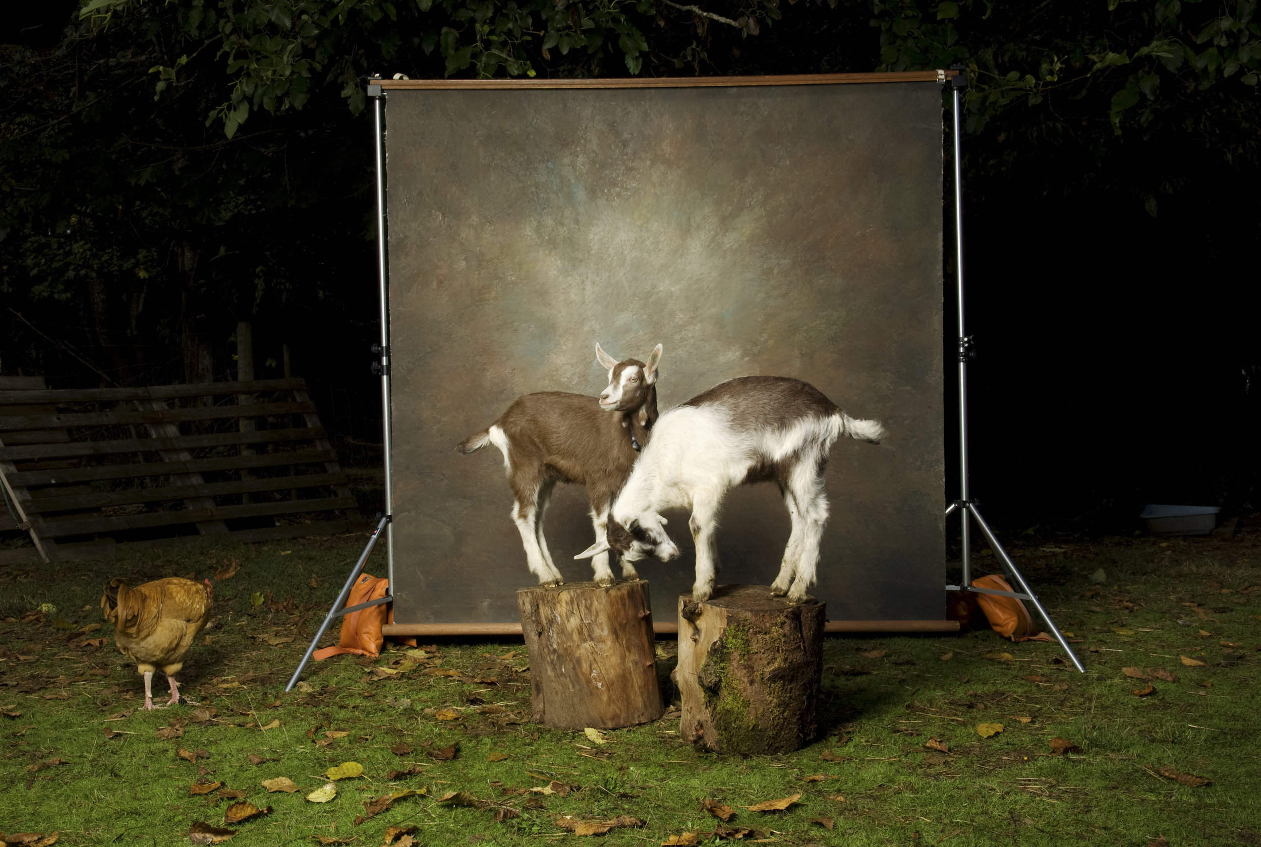  Untitled #58, 2010 / Digital C-print / 30 x 40 inches / 76.2 x 101.6 cm 