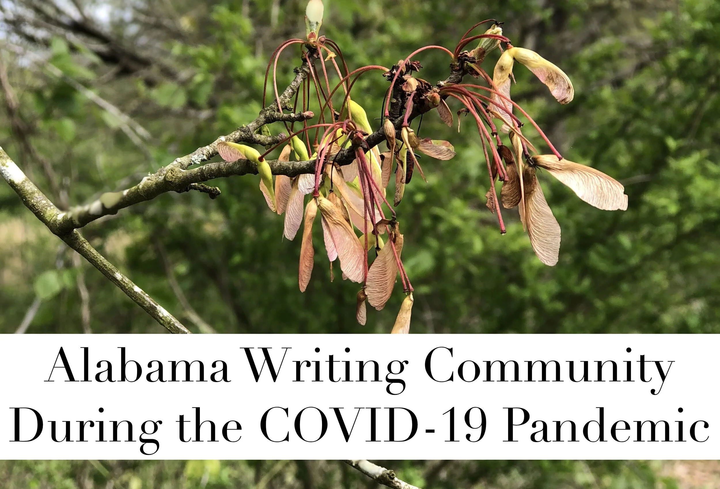 Literary Community During Pandemic: Thriving While Cancelled