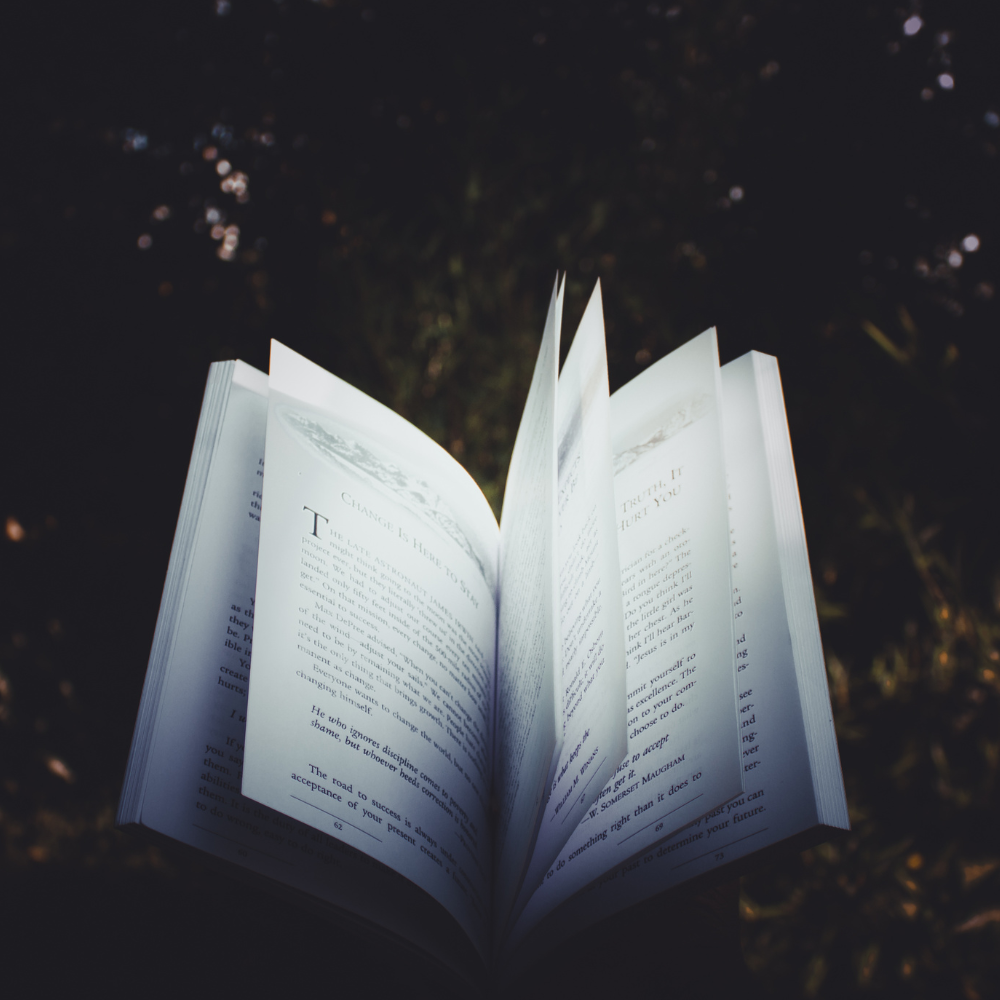 A Word Tale: A Review of Jim Reed's What I Said by T.K. Thorne